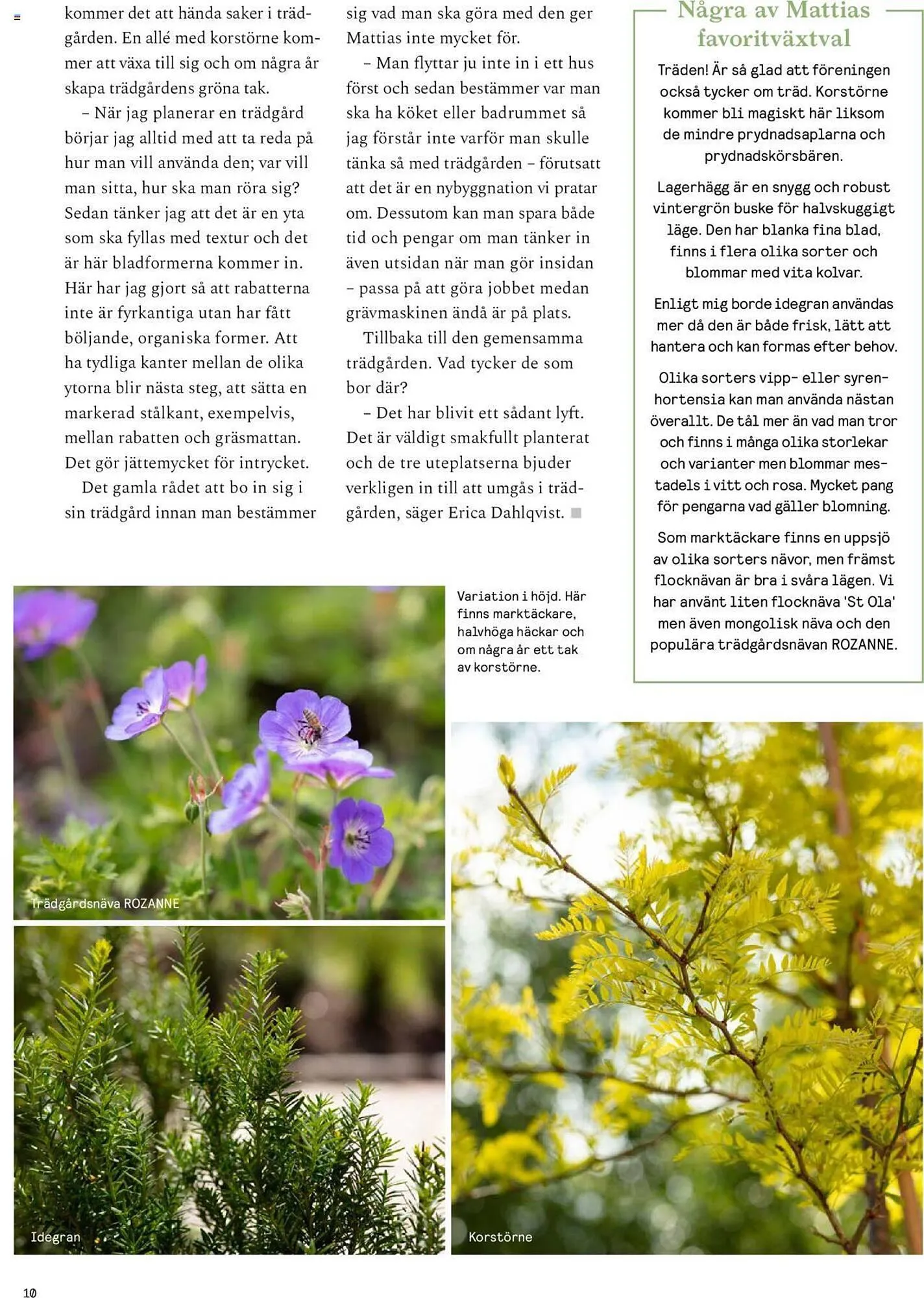 Blomsterlandet reklamblad från 25 september till 1 oktober 2023 - Reklamblad sidor 10