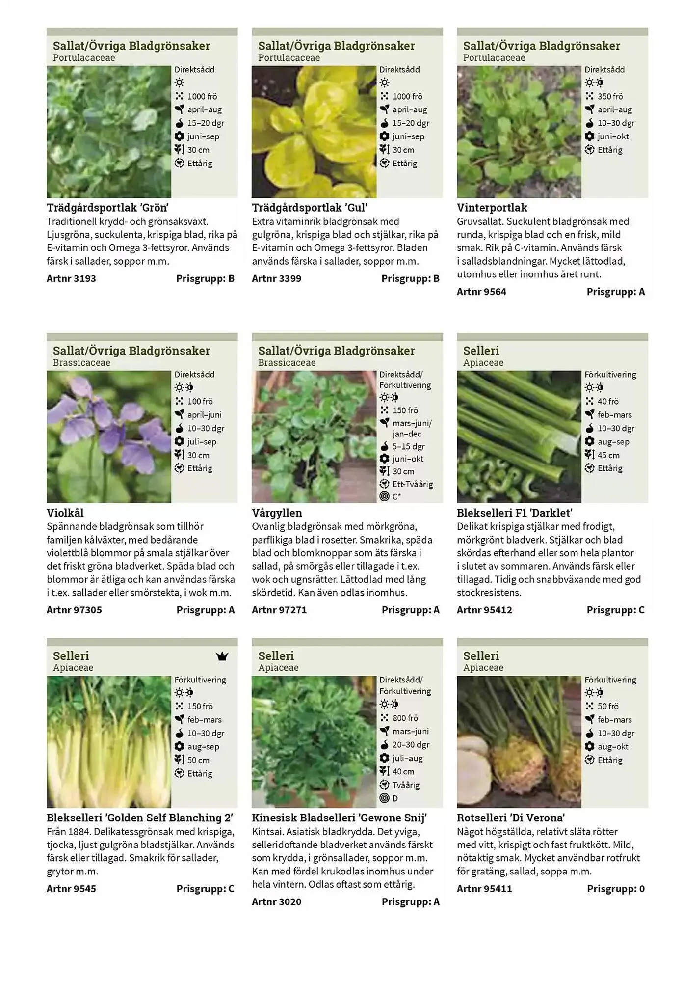 Impecta reklamblad från 23 januari till 31 december 2025 - Reklamblad sidor 57