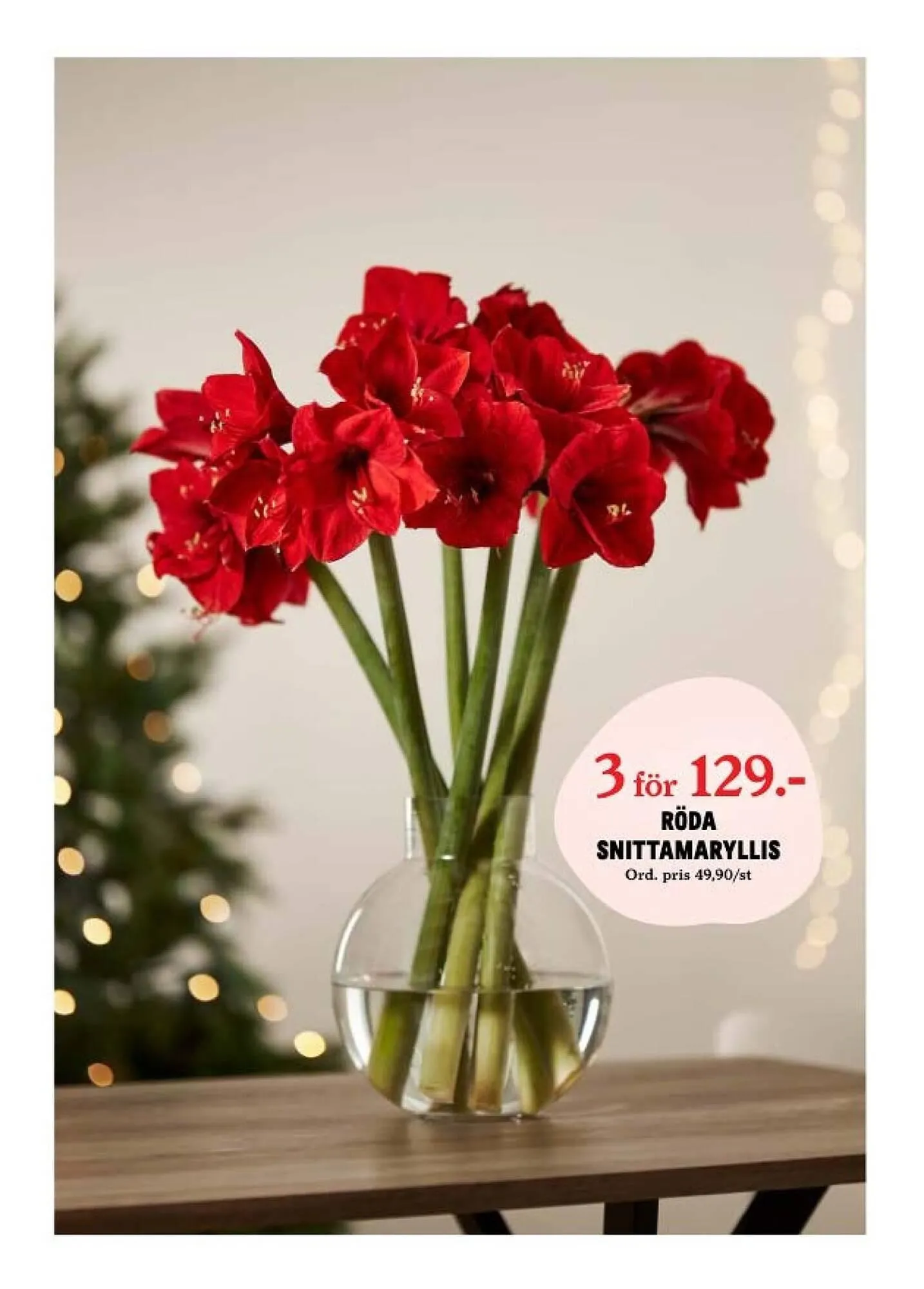 Blomsterlandet reklamblad från 4 december till 10 december 2023 - Reklamblad sidor 2
