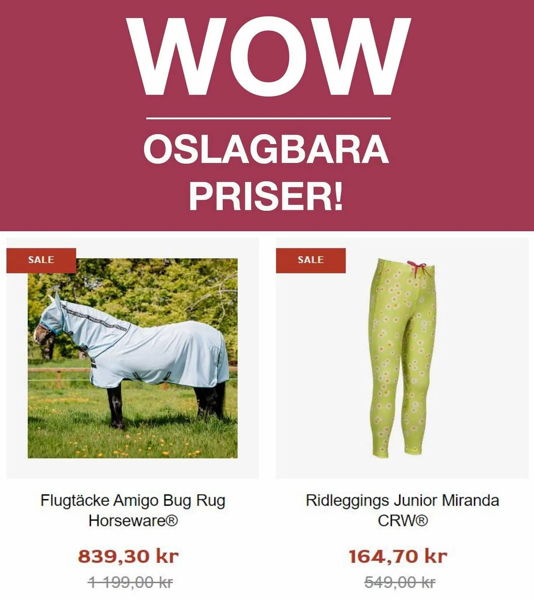 Hööks reklamblad från 4 september till 7 oktober 2023 - Reklamblad sidor 2