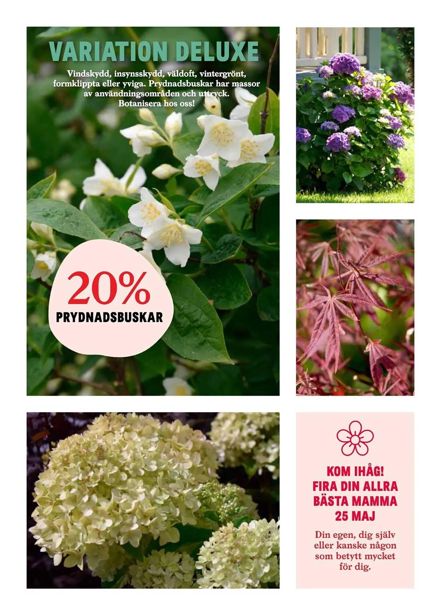 Blomsterlandet reklamblad från 12 maj till 18 maj 2025 - Reklamblad sidor 4