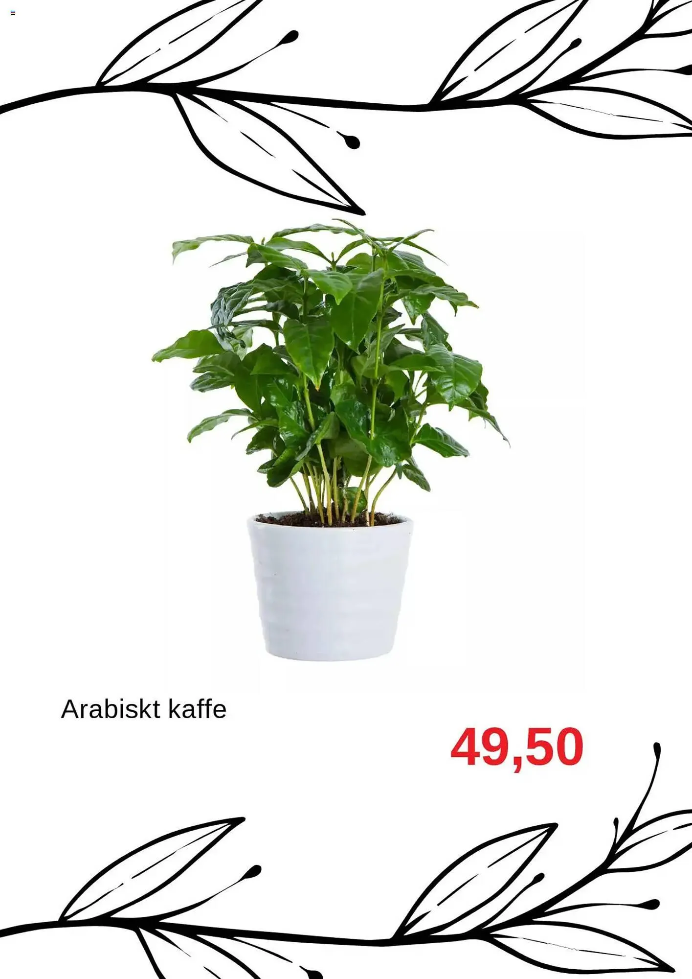 Blomsterlandet reklamblad från 11 augusti till 31 augusti 2025 - Reklamblad sidor 6