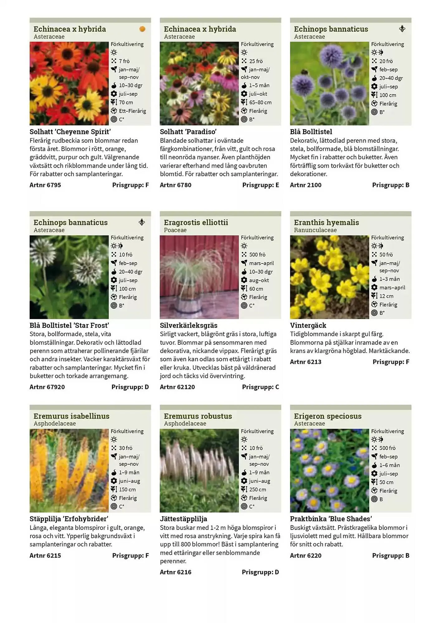 Impecta reklamblad från 23 januari till 31 december 2025 - Reklamblad sidor 261