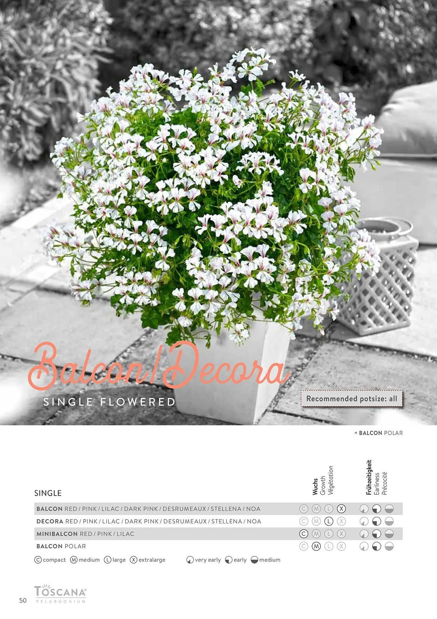 Harald Nyborg reklamblad från 15 februari till 31 december 2024 - Reklamblad sidor 50