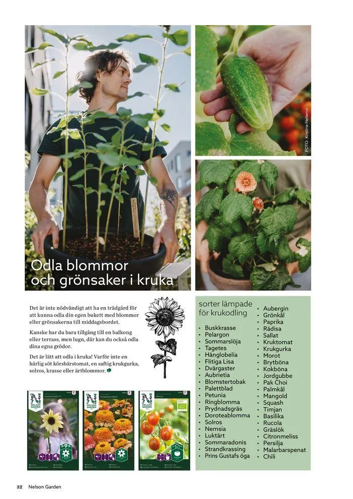 Nelson Gardens frökatalog 2024 är här! från 6 mars till 31 december 2024 - Reklamblad sidor 32