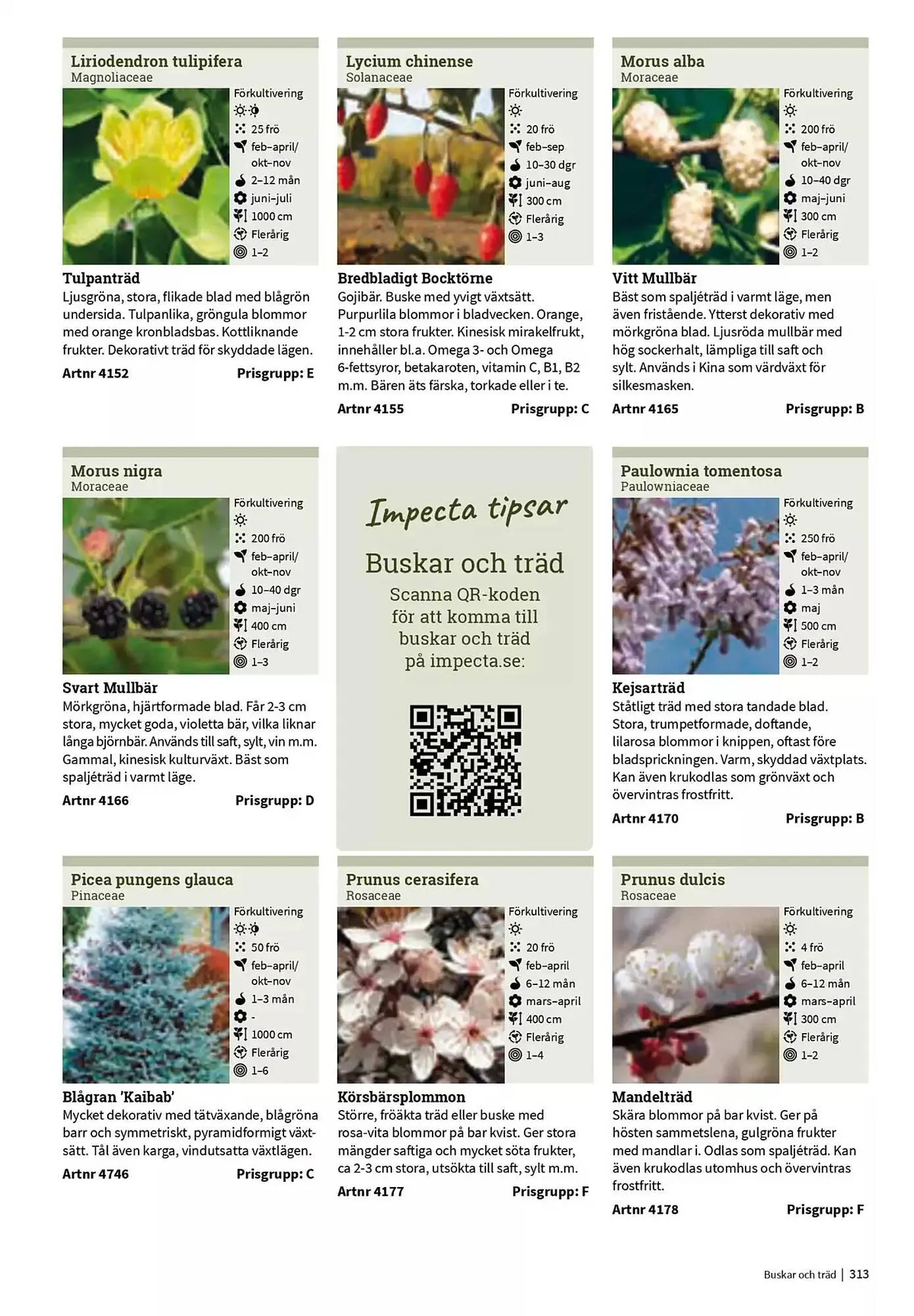 Impecta reklamblad från 23 januari till 31 december 2025 - Reklamblad sidor 313