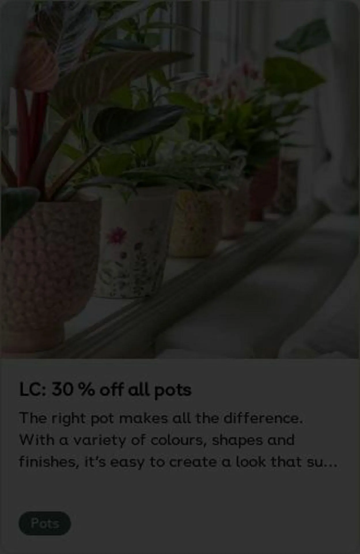 Plantagen från 5 januari till 14 januari 2026 - Reklamblad sidor 4