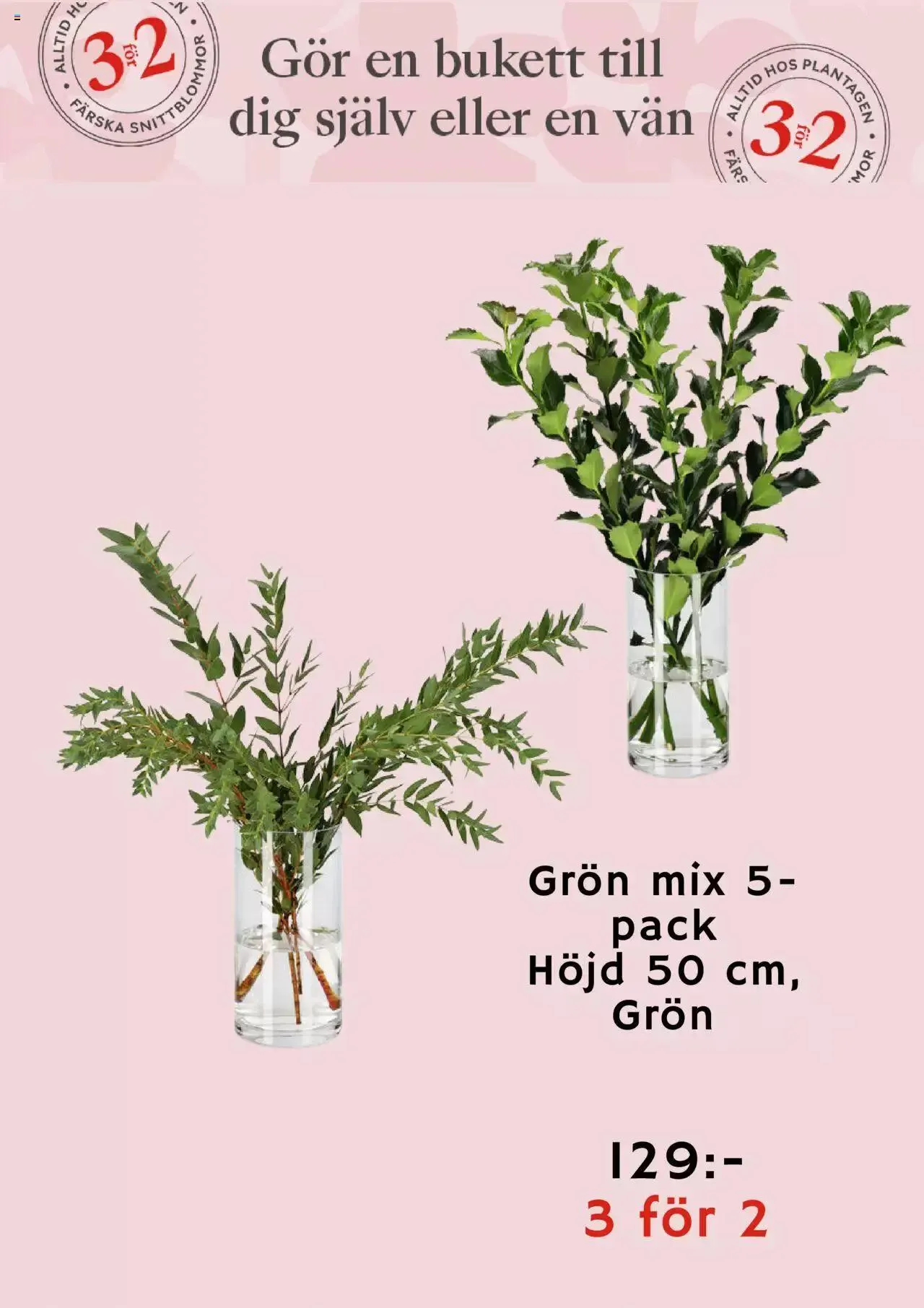 Plantagen - erbjudanden från 27 december till 4 januari 2024 - Reklamblad sidor 5
