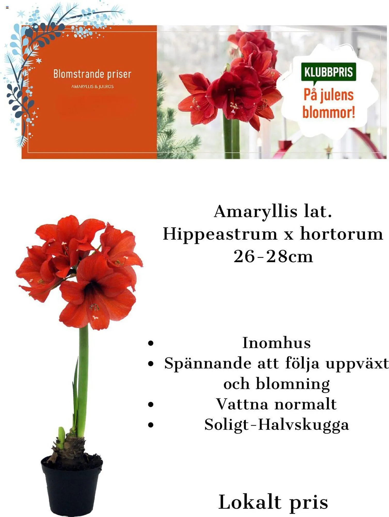 Granngården reklamblad från 2 december till 10 december 2023 - Reklamblad sidor 3