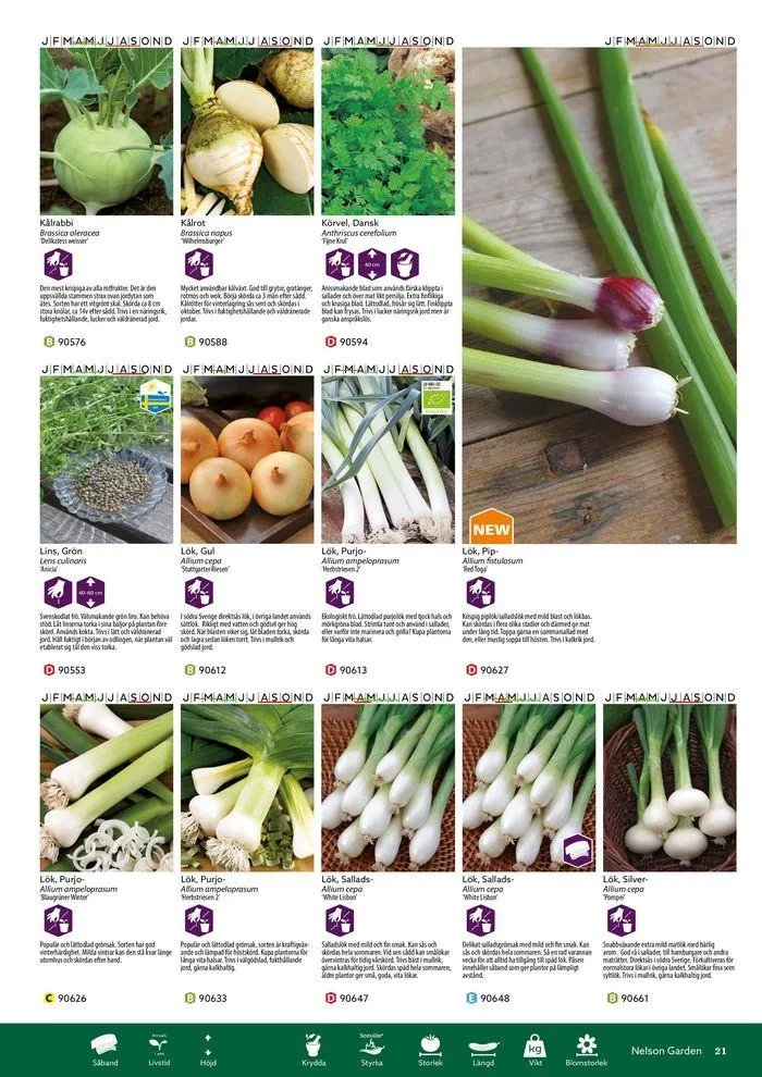 Nelson Gardens frökatalog 2024 är här! från 6 mars till 31 december 2024 - Reklamblad sidor 21