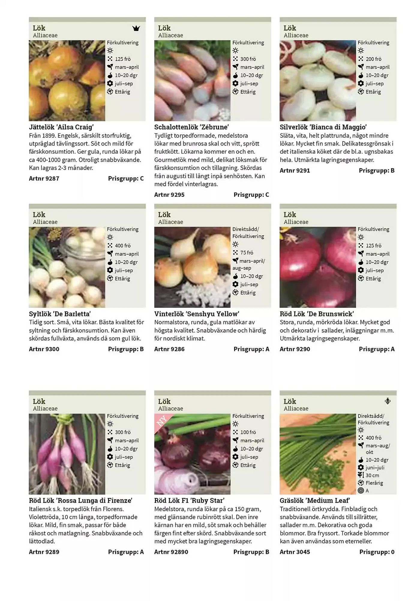 Impecta reklamblad från 23 januari till 31 december 2025 - Reklamblad sidor 33