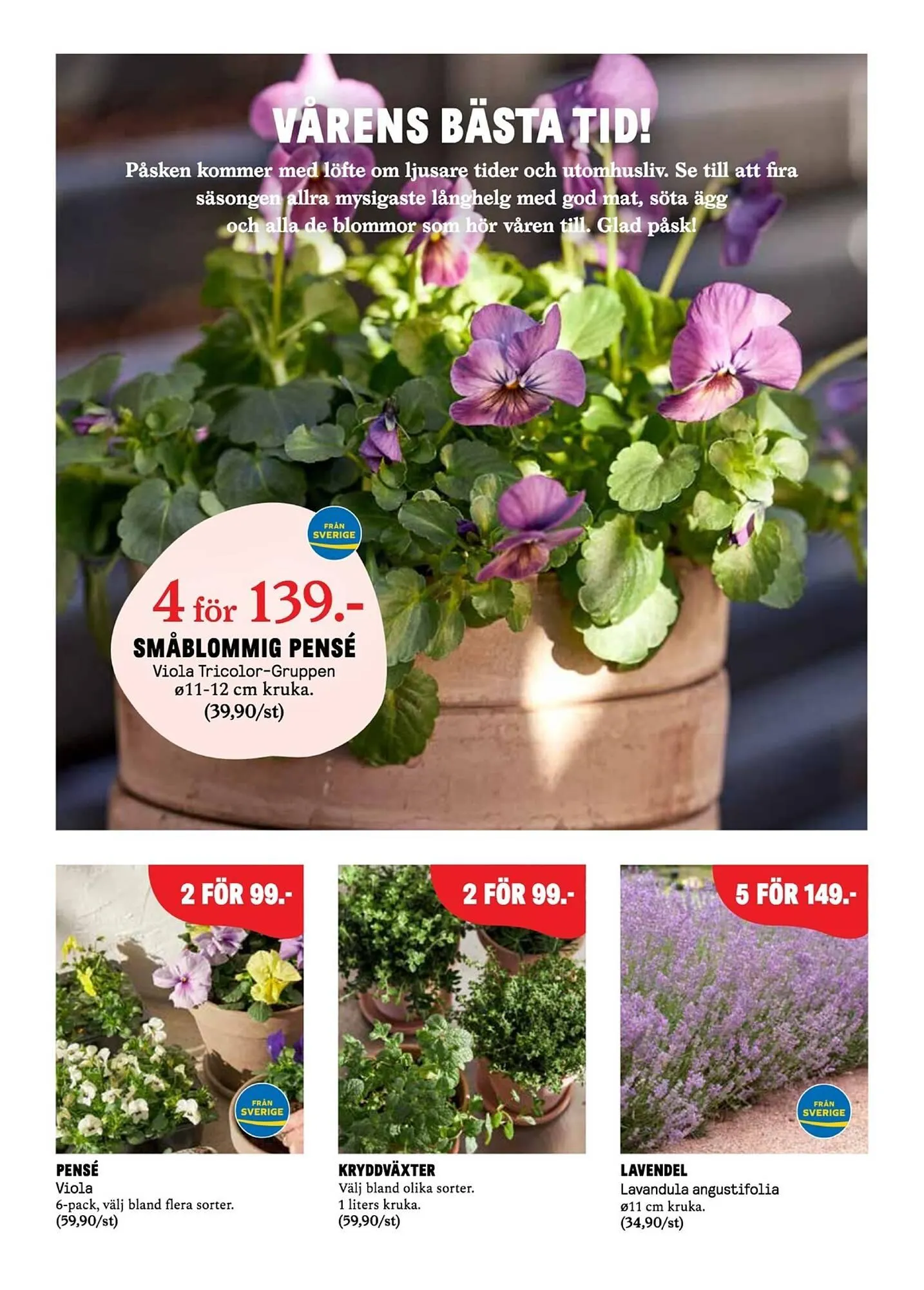 Blomsterlandet reklamblad från 31 mars till 6 april 2025 - Reklamblad sidor 4