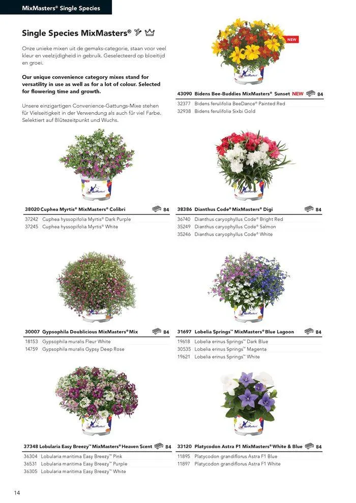 Annuals 2024 . från 15 februari till 31 december 2024 - Reklamblad sidor 18