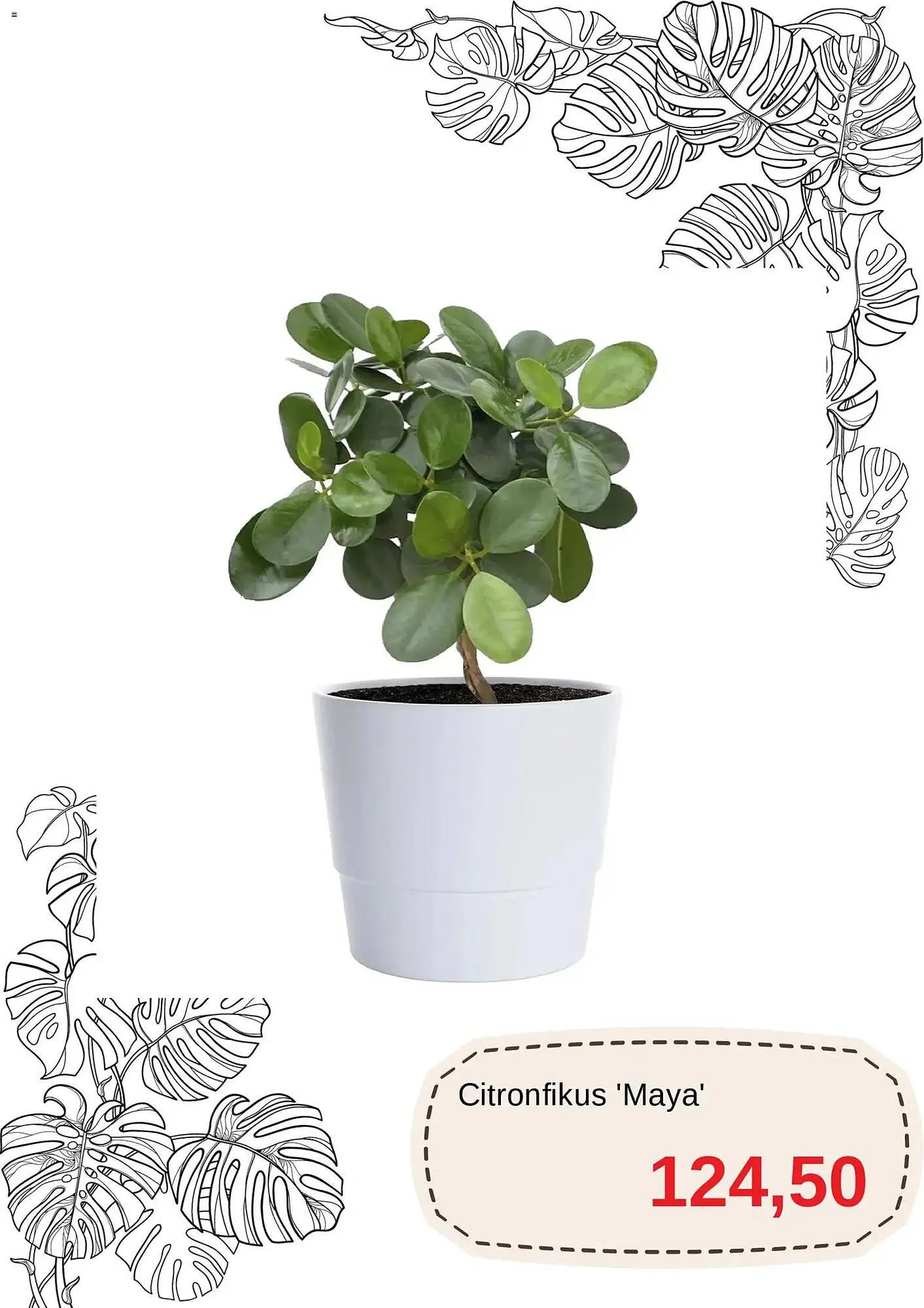 Blomsterlandet reklamblad från 1 november till 16 november 2025 - Reklamblad sidor 10