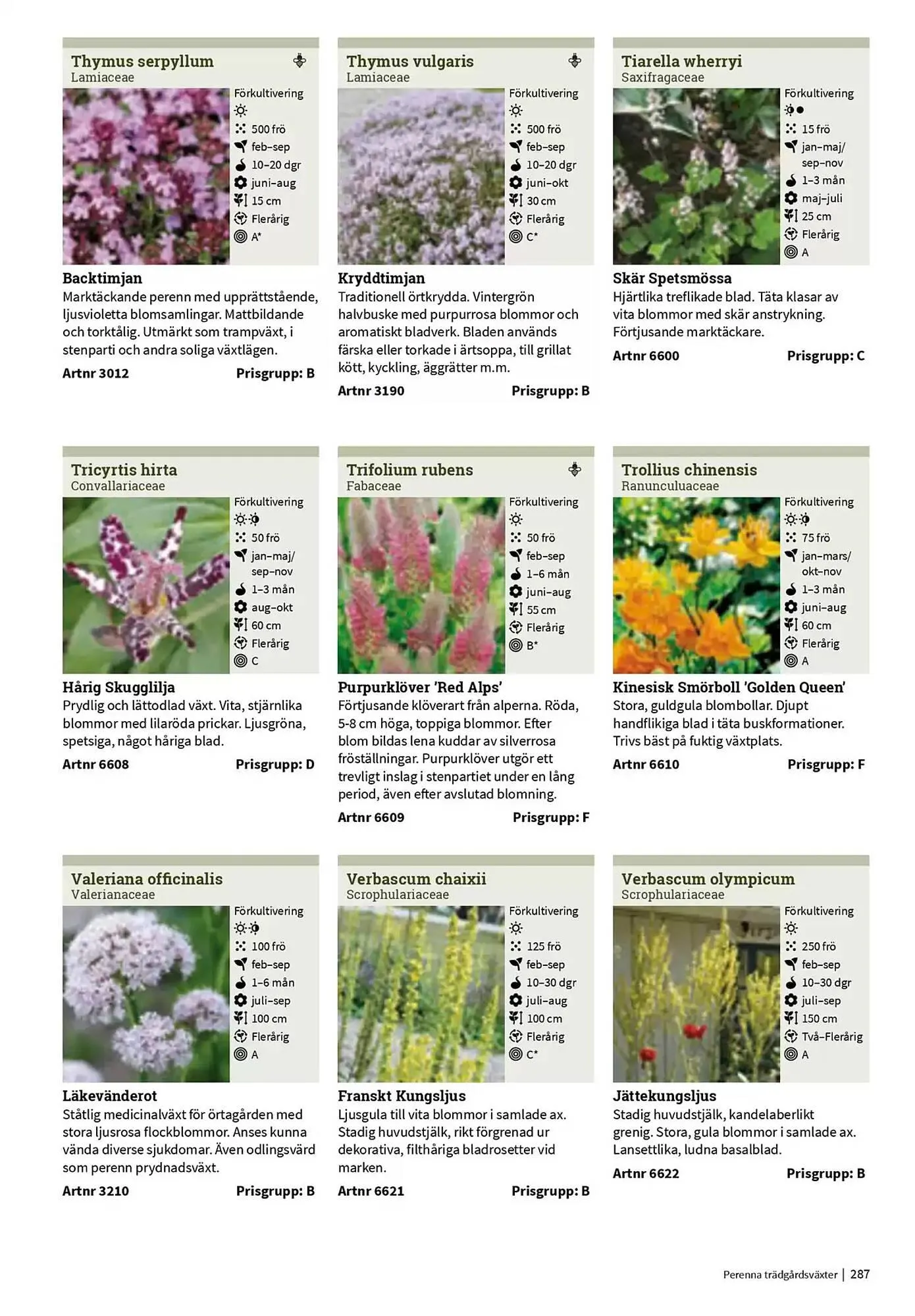 Impecta reklamblad från 23 januari till 31 december 2025 - Reklamblad sidor 287