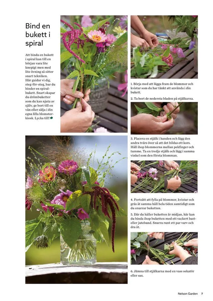 Nelson Gardens frökatalog 2024 är här! från 6 mars till 31 december 2024 - Reklamblad sidor 7
