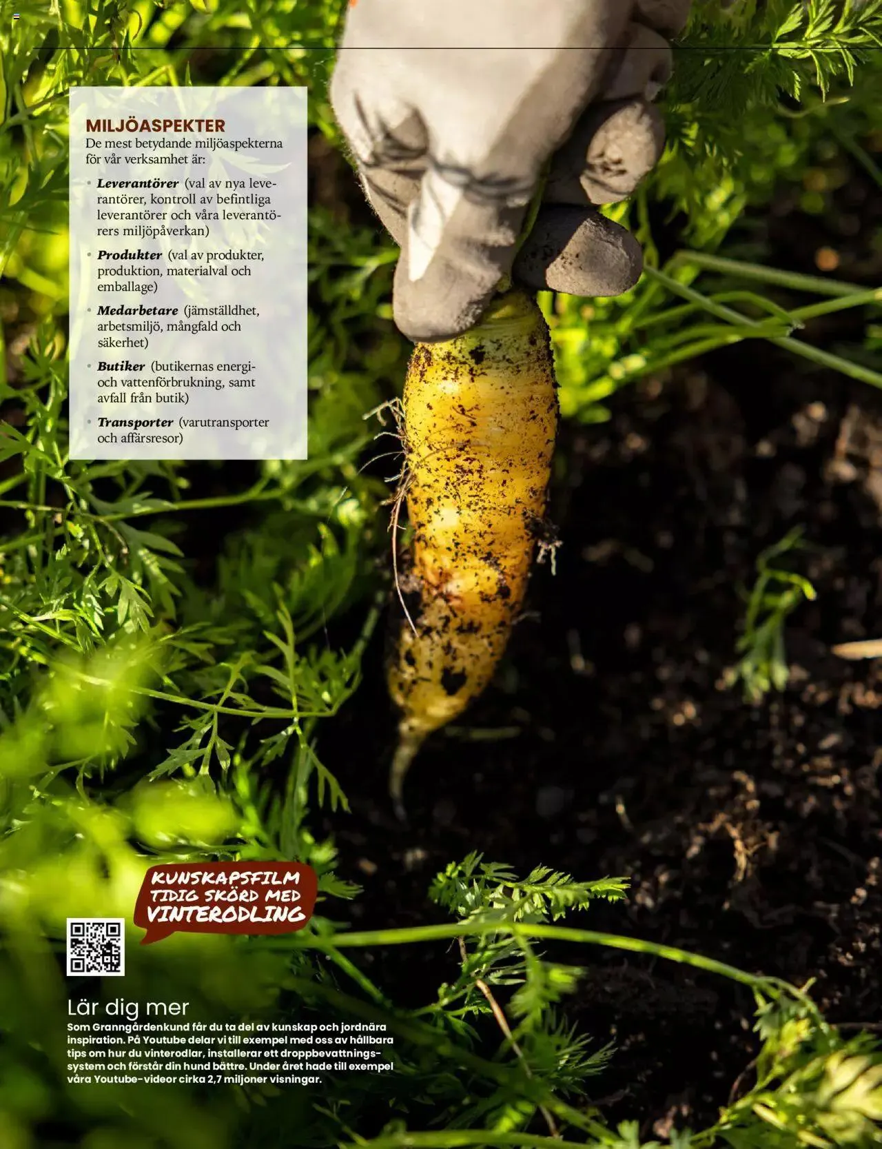 Granngården - erbjudanden från 17 april till 31 december 2023 - Reklamblad sidor 8