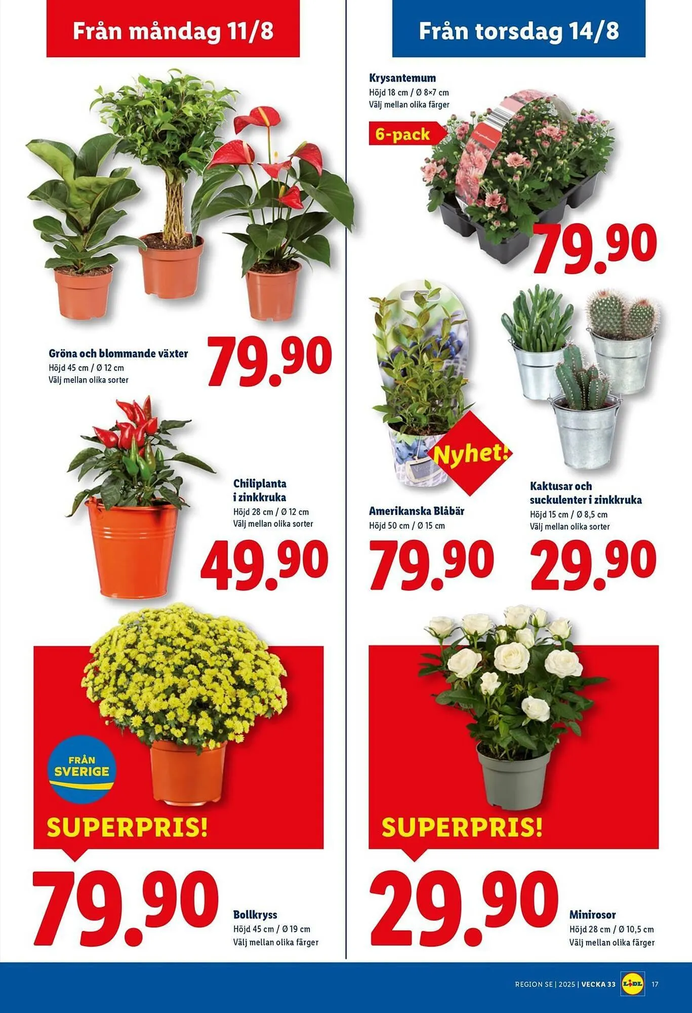 Lidl reklamblad från 11 augusti till 17 augusti 2025 - Reklamblad sidor 21