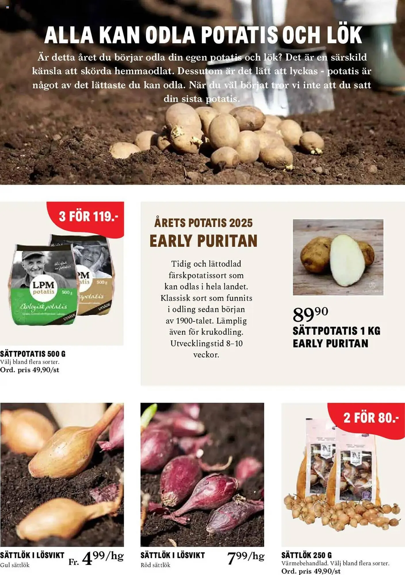 Blomsterlandet reklamblad från 24 mars till 30 mars 2025 - Reklamblad sidor 10