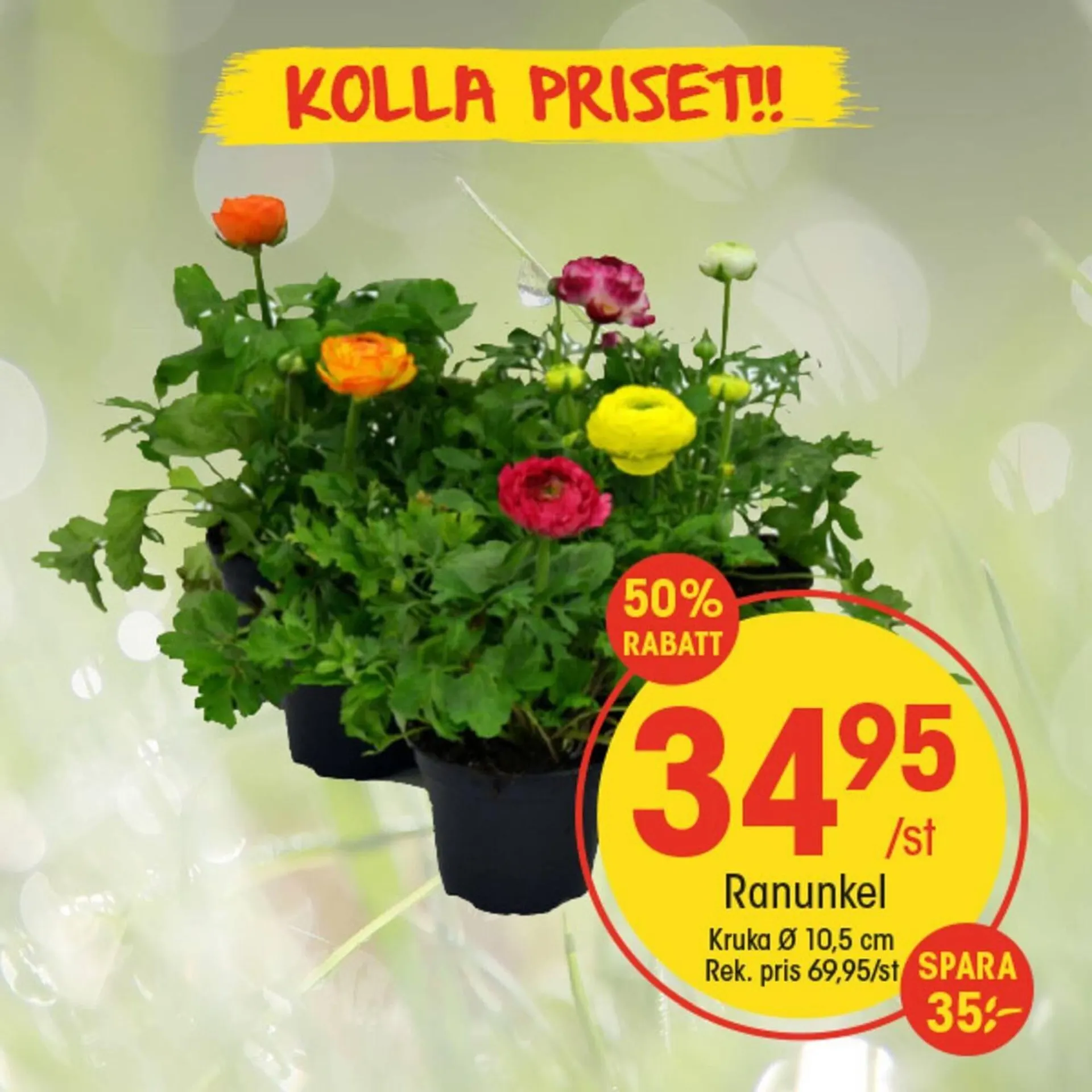 EKO reklamblad från 17 april till 23 april 2025 - Reklamblad sidor 4