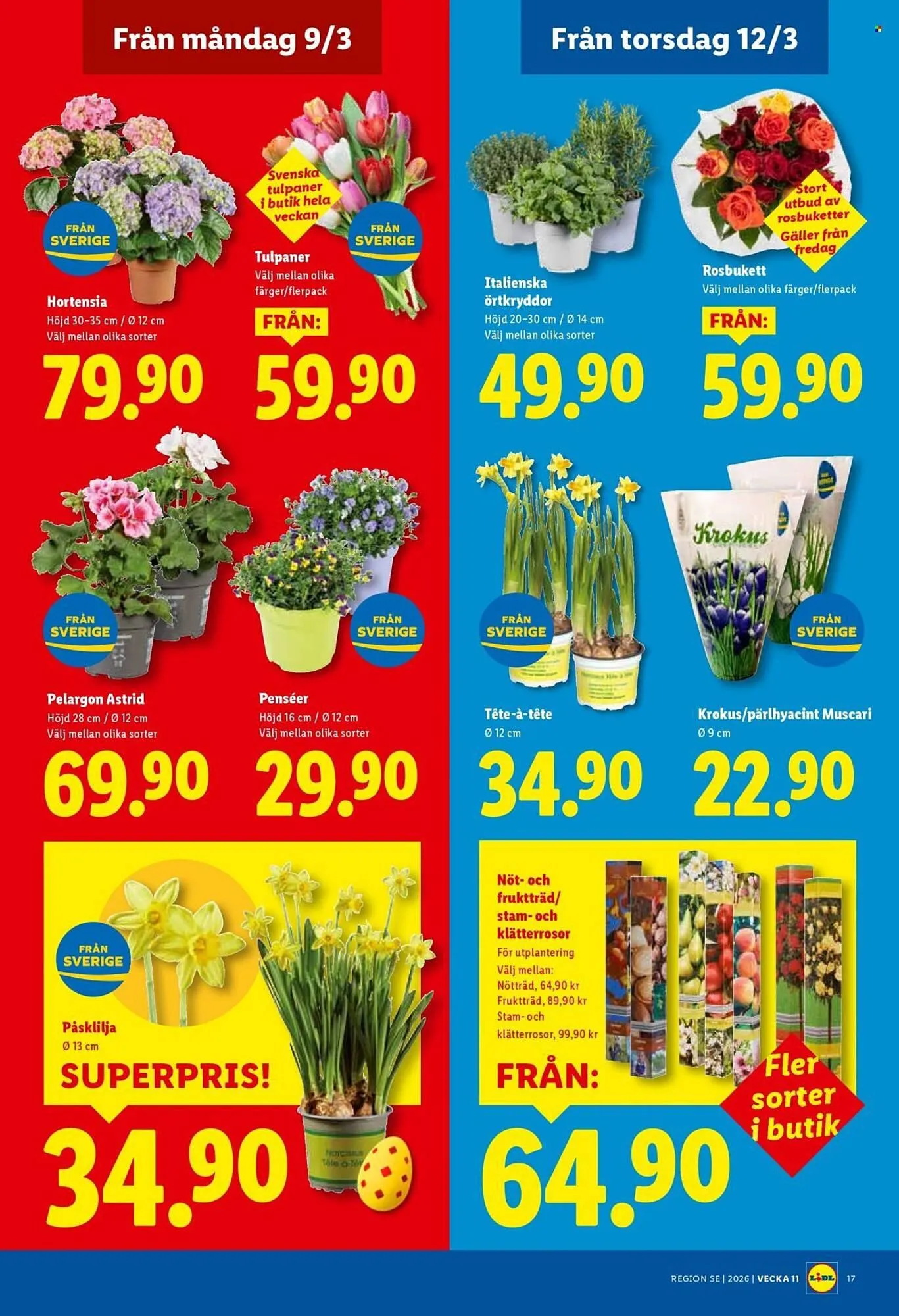 Lidl reklamblad från 9 mars till 15 mars 2026 - Reklamblad sidor 19