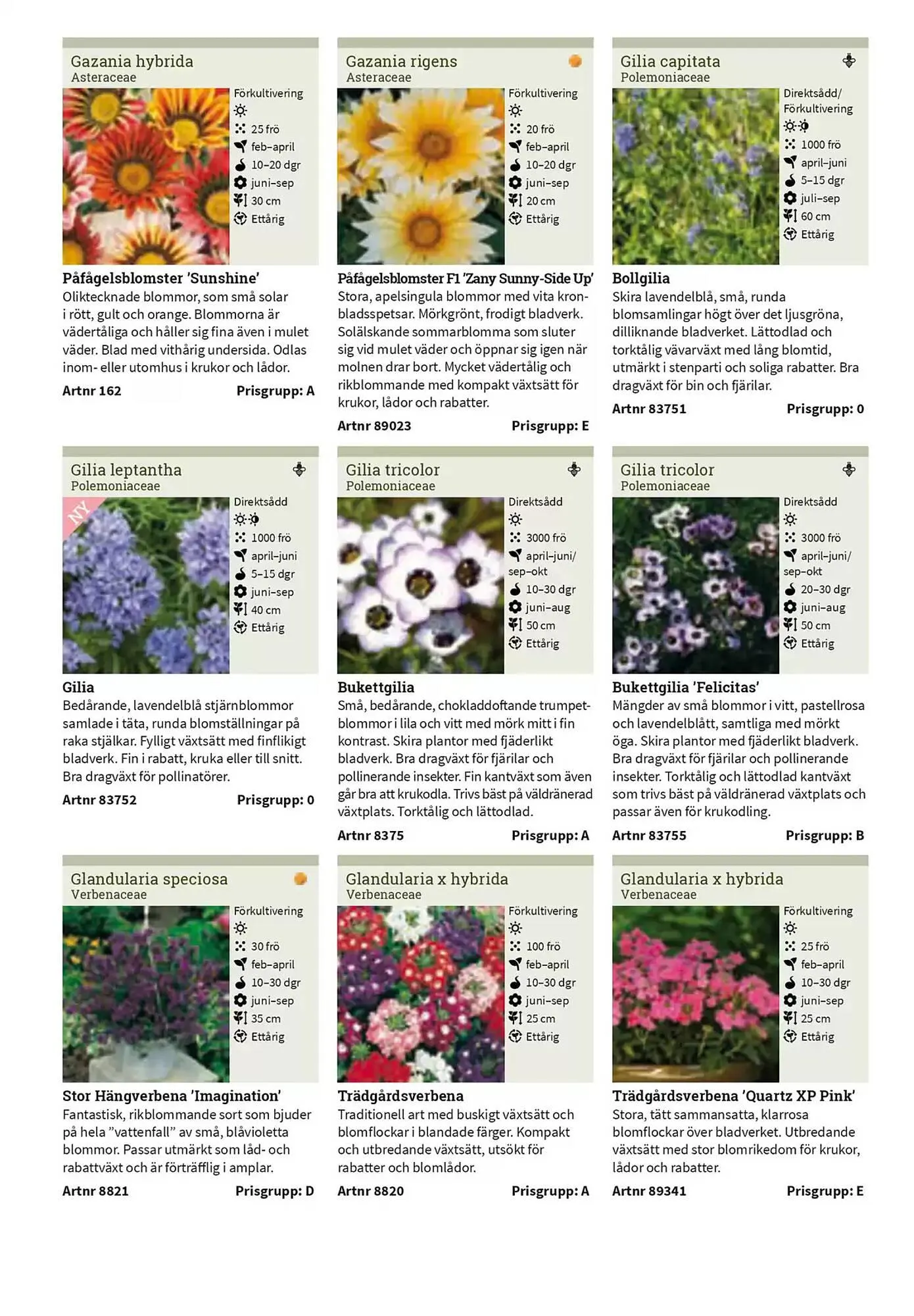 Impecta reklamblad från 23 januari till 31 december 2025 - Reklamblad sidor 141