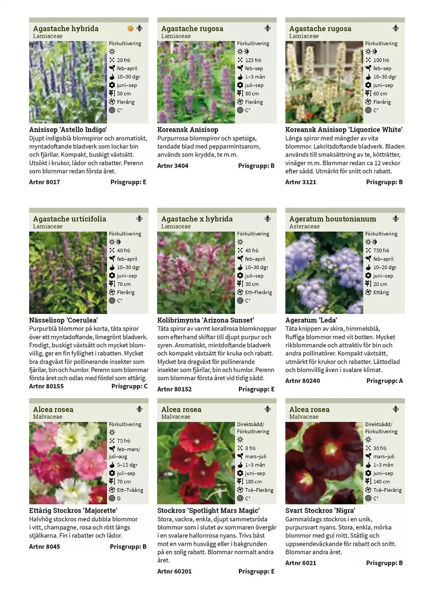 Impecta reklamblad från 23 januari till 31 december 2025 - Reklamblad sidor 205