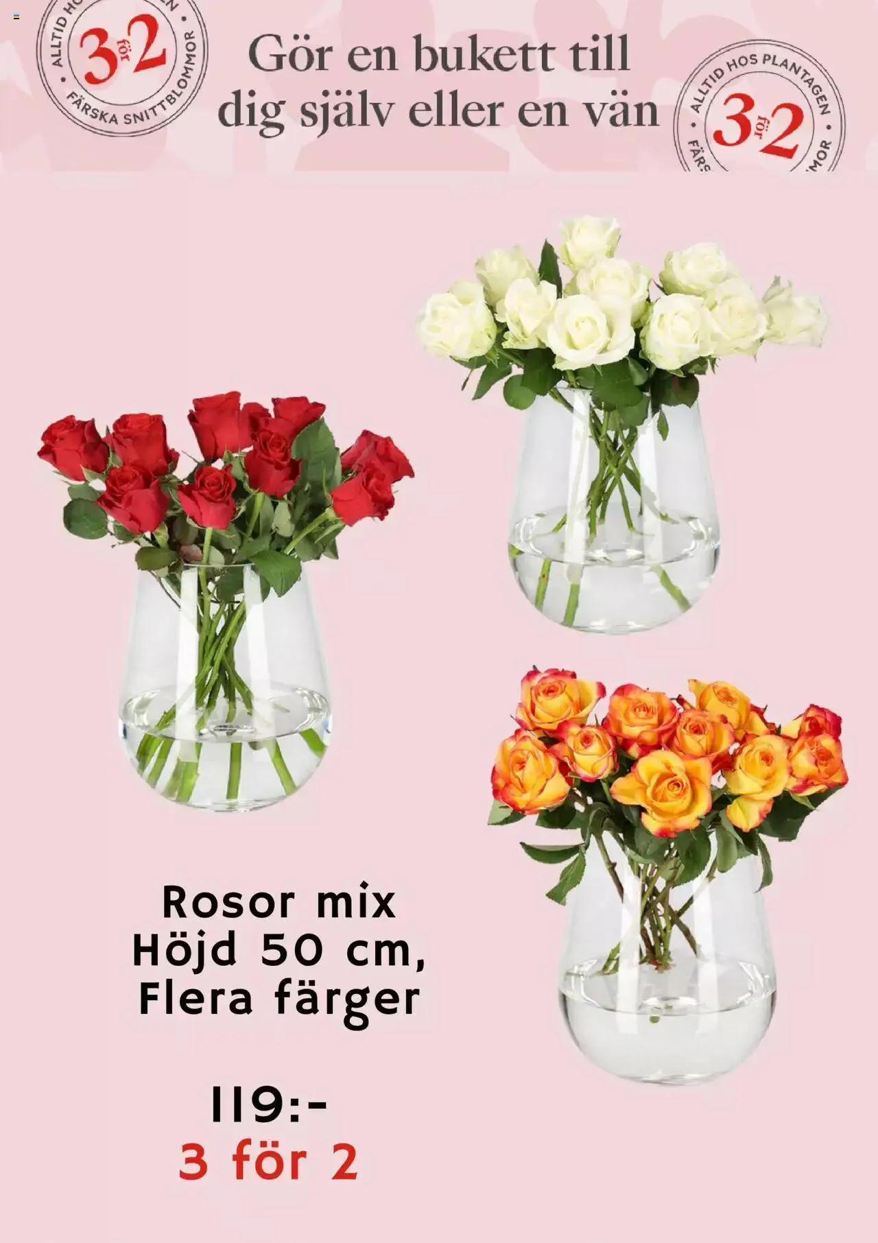 Plantagen - erbjudanden från 27 december till 4 januari 2024 - Reklamblad sidor 2
