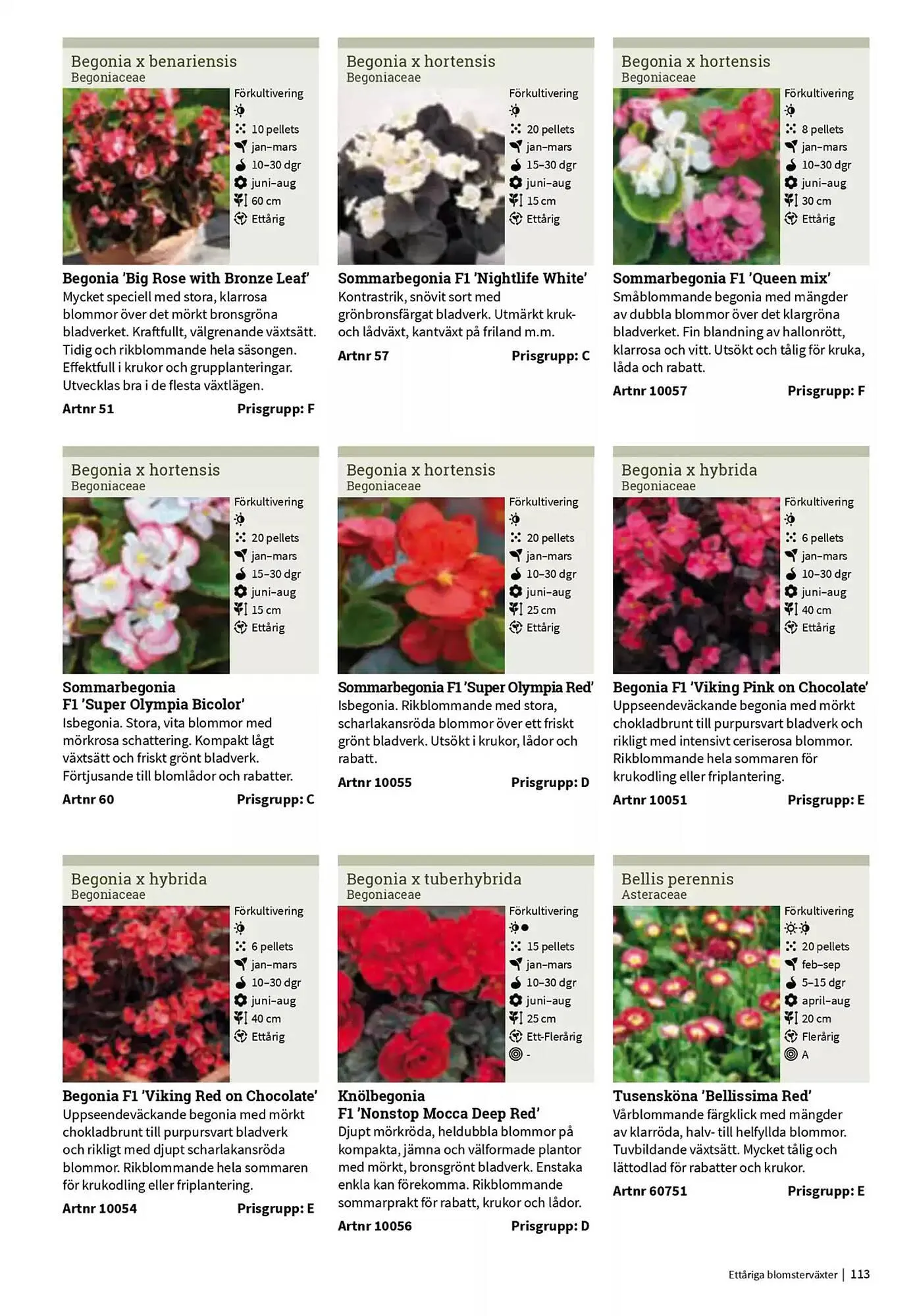 Impecta reklamblad från 23 januari till 31 december 2025 - Reklamblad sidor 113