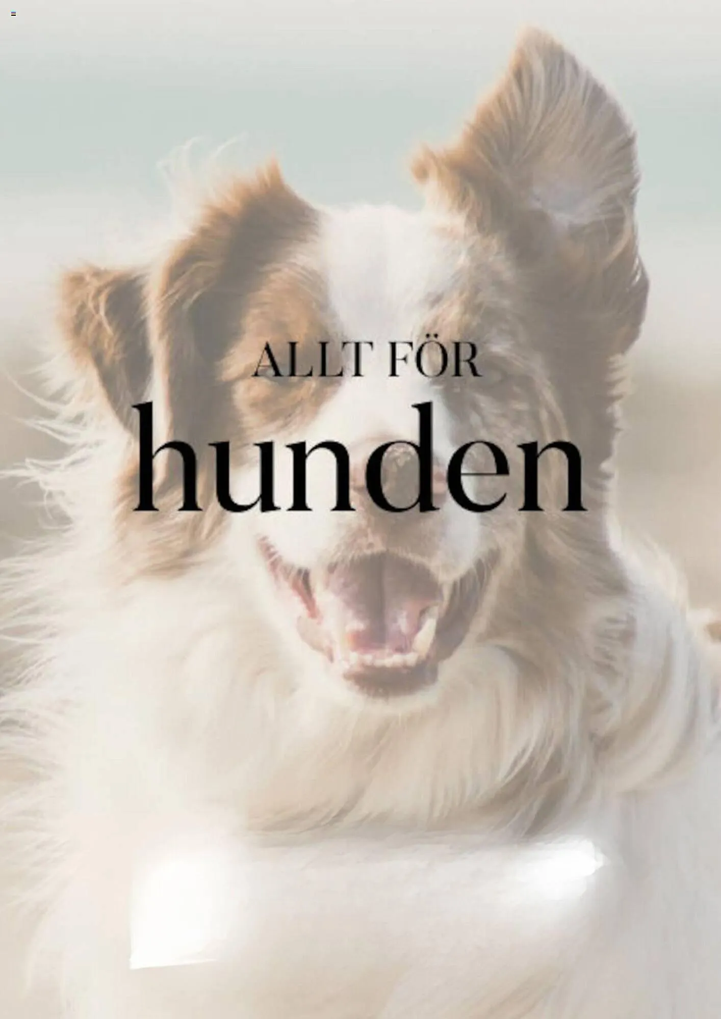 Hööks reklamblad från 26 april till 9 maj 2024 - Reklamblad sidor 3