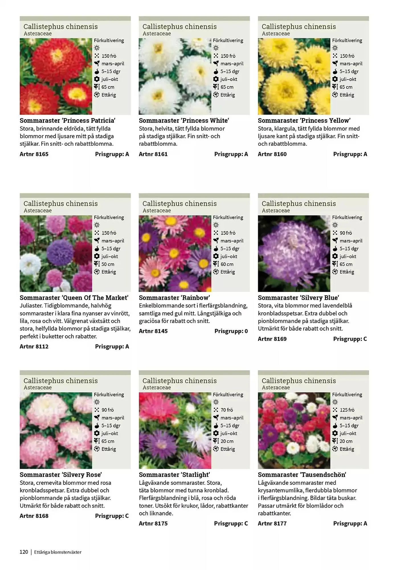 Impecta reklamblad från 23 januari till 31 december 2025 - Reklamblad sidor 120