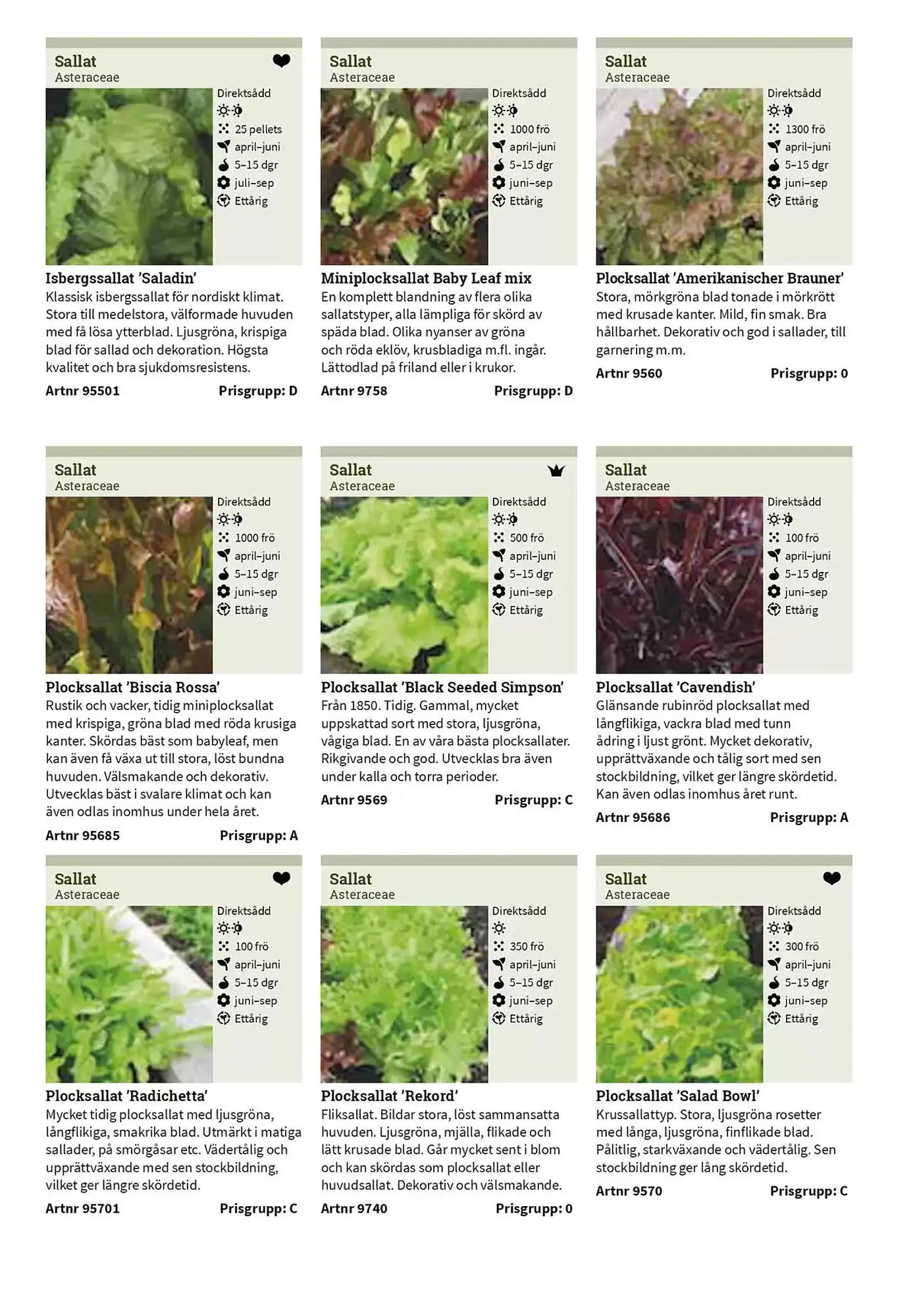 Impecta reklamblad från 23 januari till 31 december 2025 - Reklamblad sidor 52