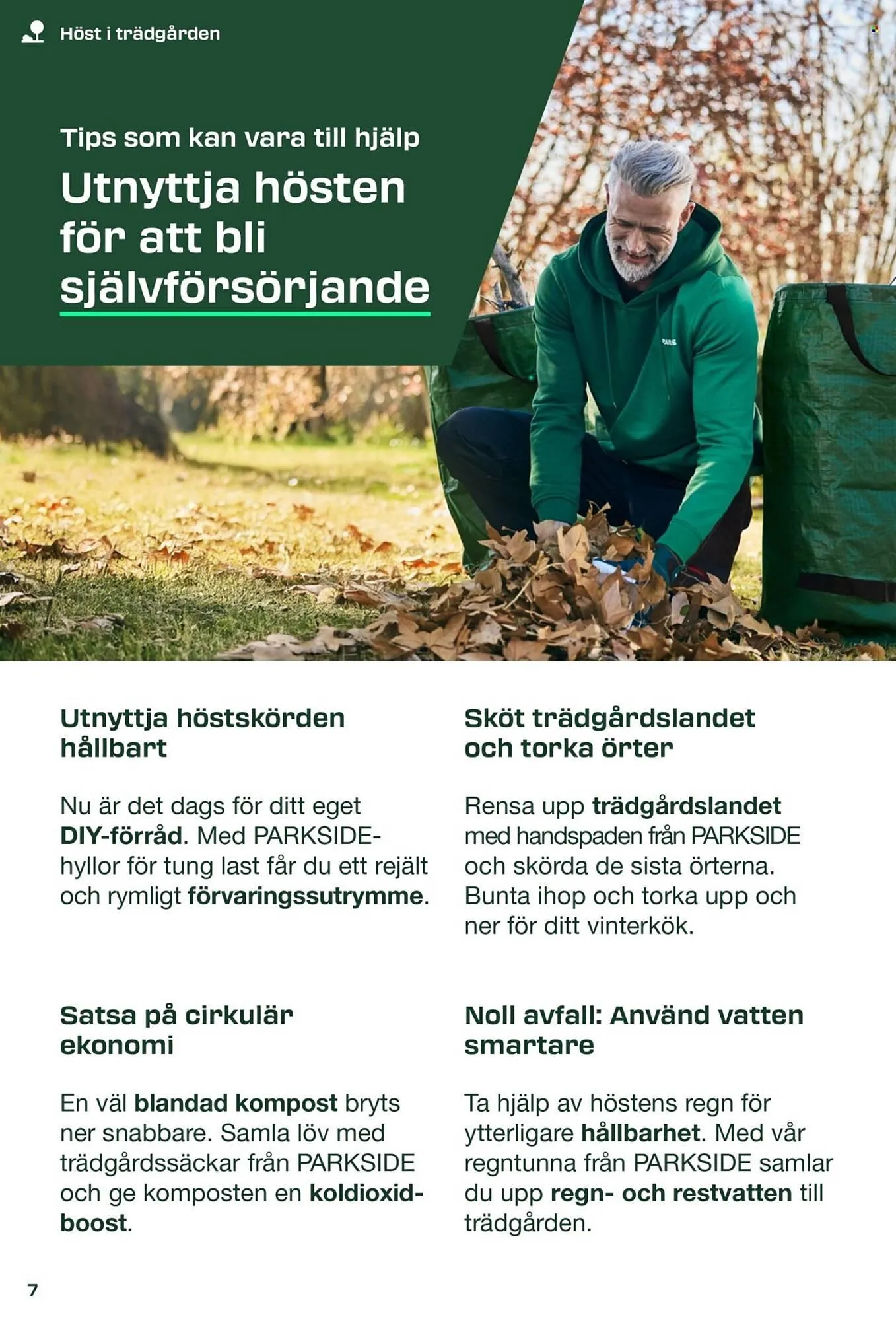 Lidl reklamblad från 31 augusti till 8 september 2025 - Reklamblad sidor 7