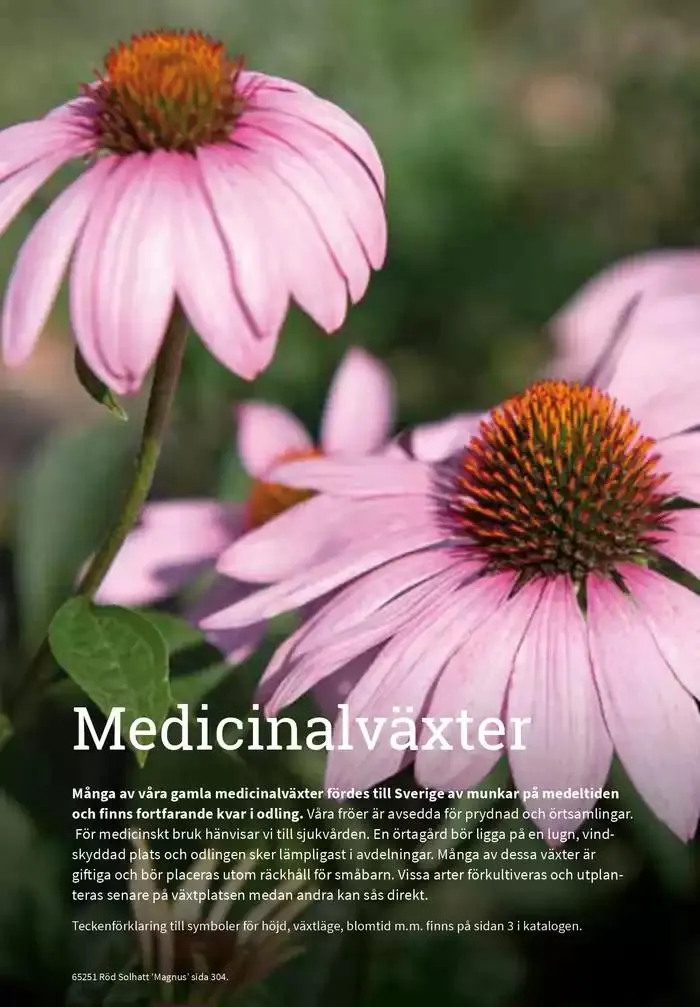 Frökatalog 2025! från 23 januari till 31 december 2025 - Reklamblad sidor 301