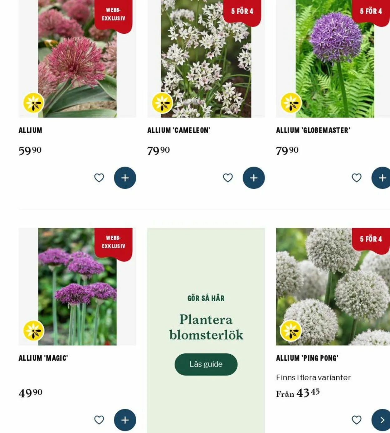 Blomsterlandet från 1 september till 10 september 2025 - Reklamblad sidor 1