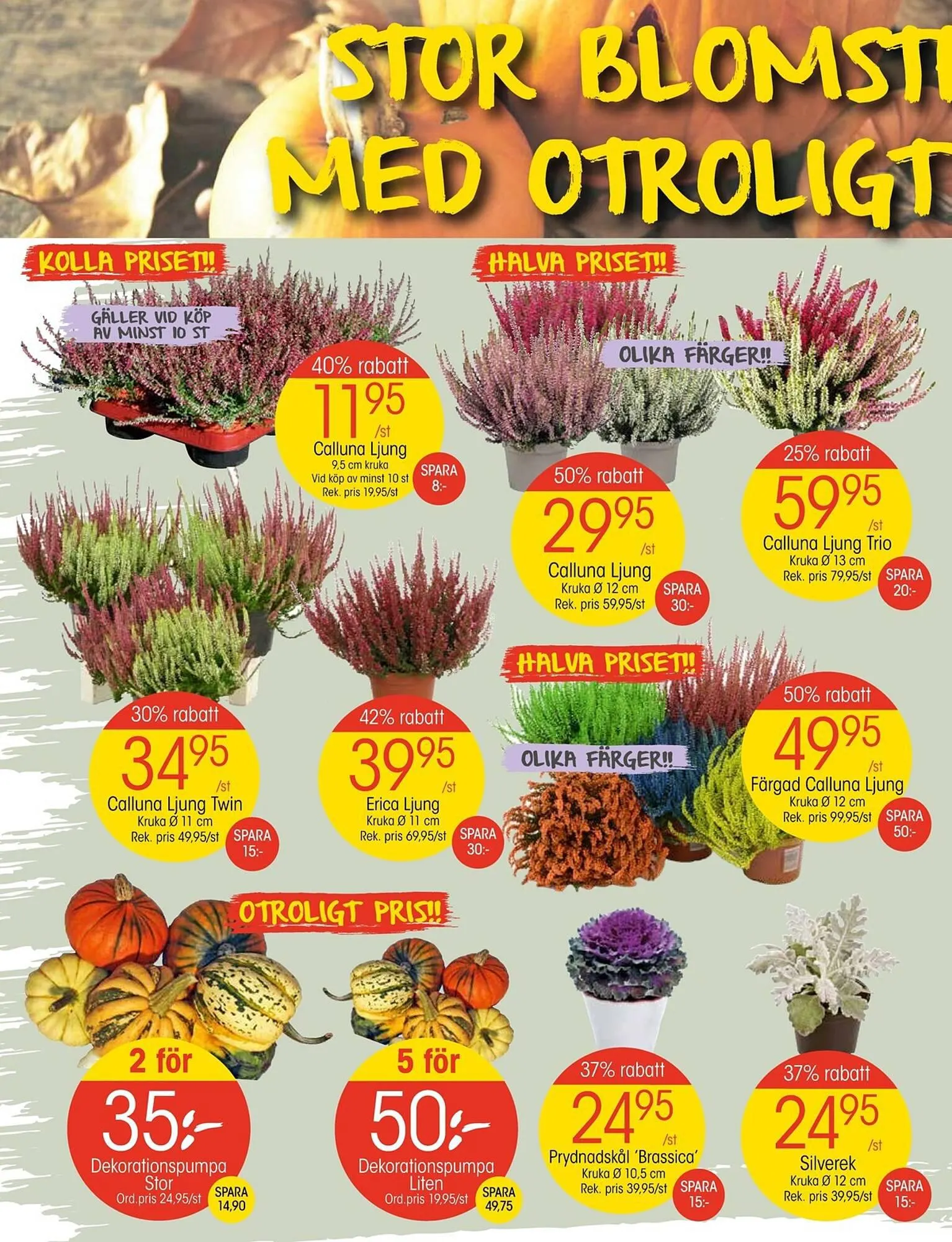 EKO reklamblad från 25 september till 1 oktober 2023 - Reklamblad sidor 2