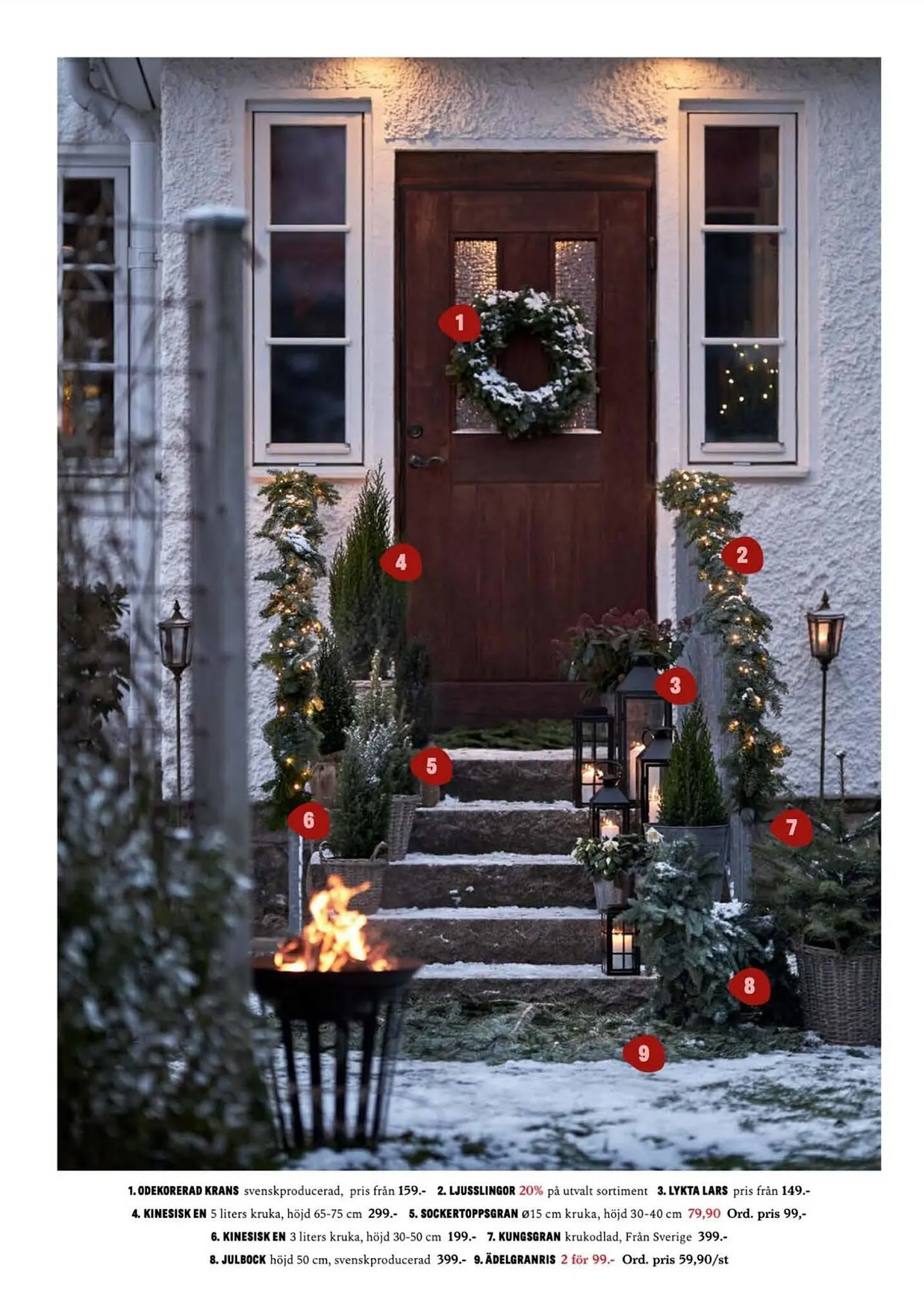 Blomsterlandet reklamblad från 27 november till 3 december 2023 - Reklamblad sidor 4