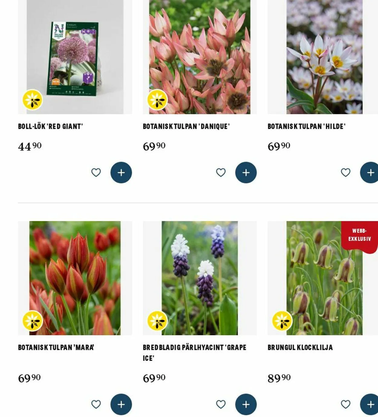 Blomsterlandet från 25 augusti till 3 september 2025 - Reklamblad sidor 7