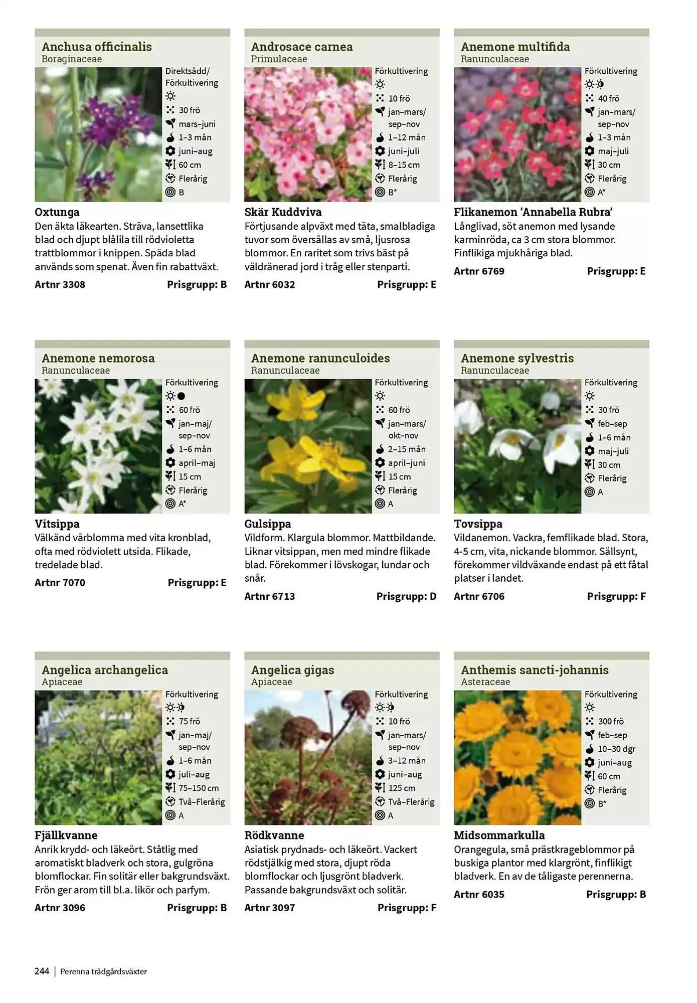 Impecta reklamblad från 23 januari till 31 december 2025 - Reklamblad sidor 244