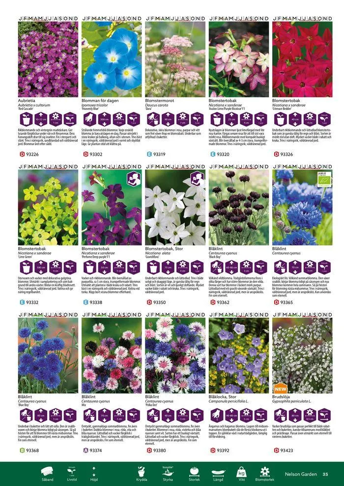 Nelson Gardens frökatalog 2024 är här! från 6 mars till 31 december 2024 - Reklamblad sidor 35