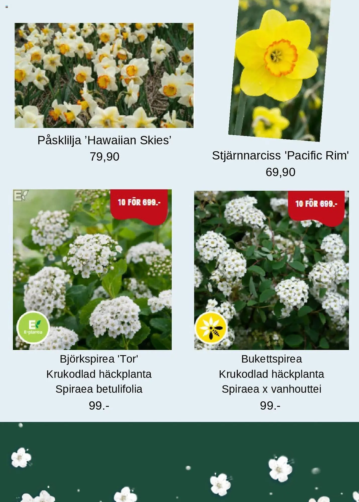 Blomsterlandet reklamblad från 30 september till 13 oktober 2024 - Reklamblad sidor 4