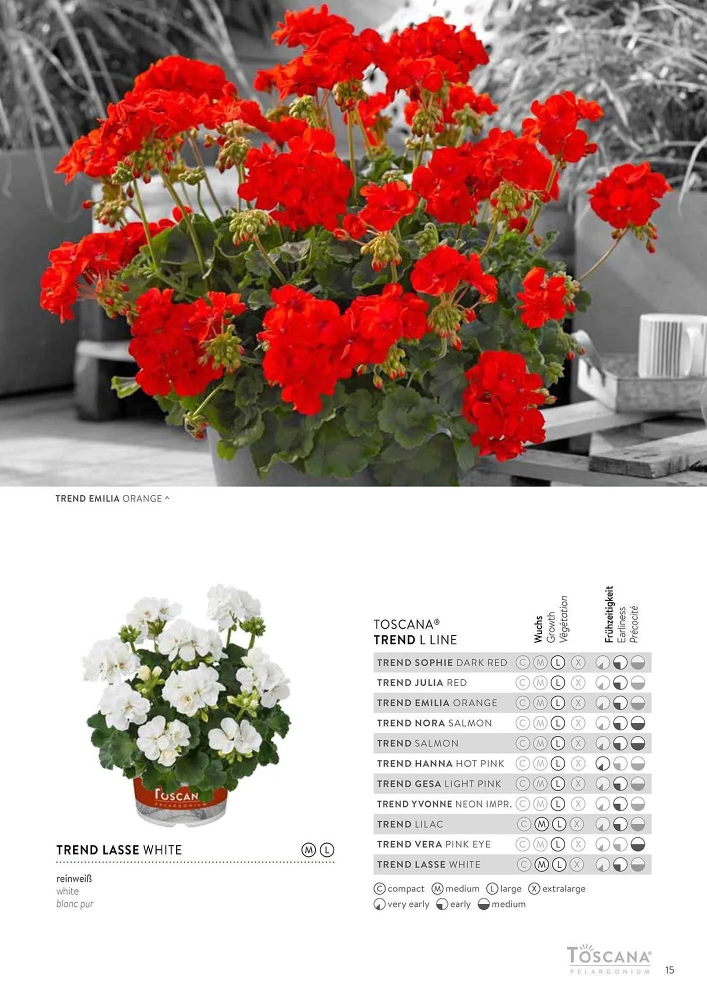 Harald Nyborg reklamblad från 15 februari till 31 december 2024 - Reklamblad sidor 15