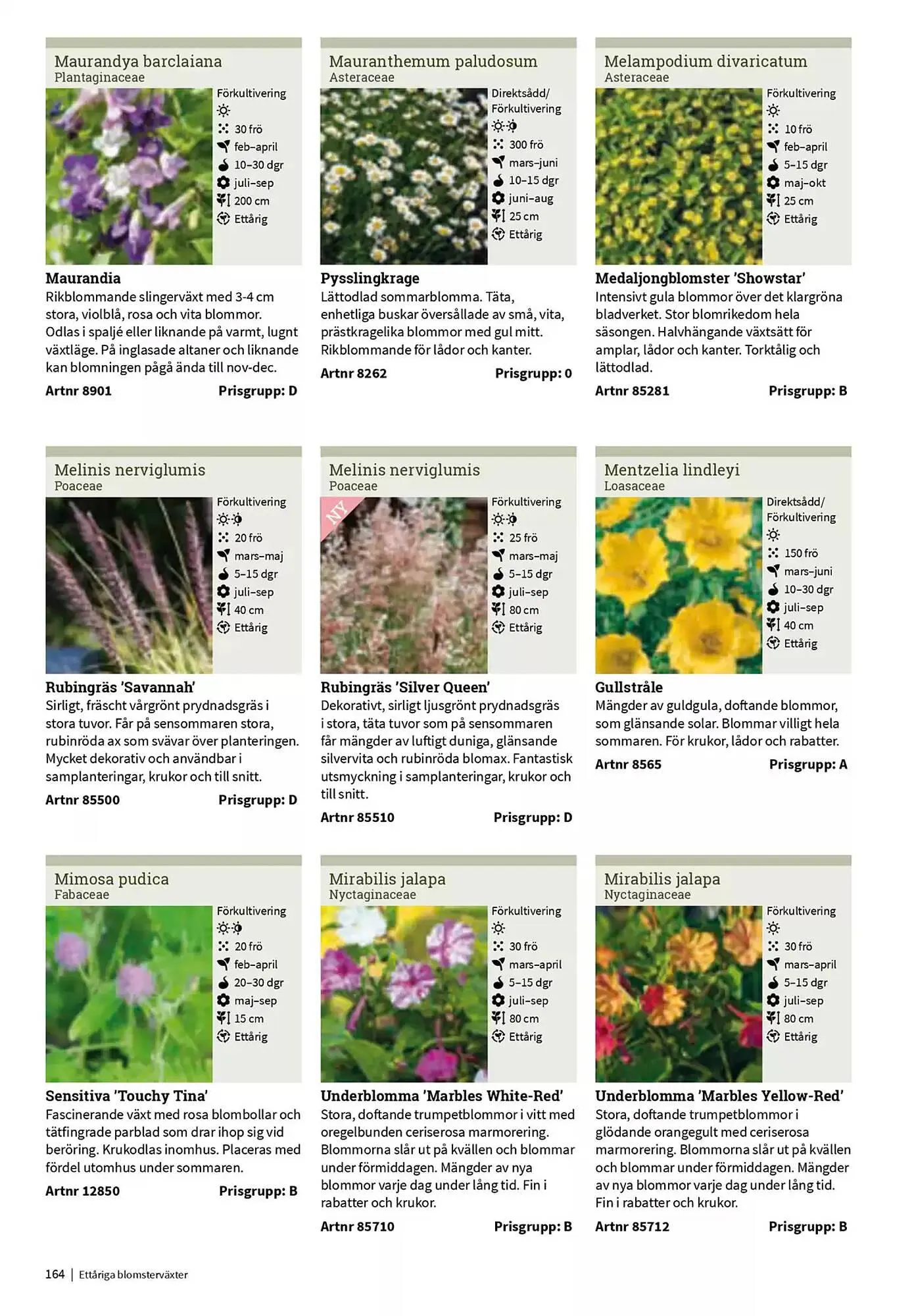 Impecta reklamblad från 23 januari till 31 december 2025 - Reklamblad sidor 164