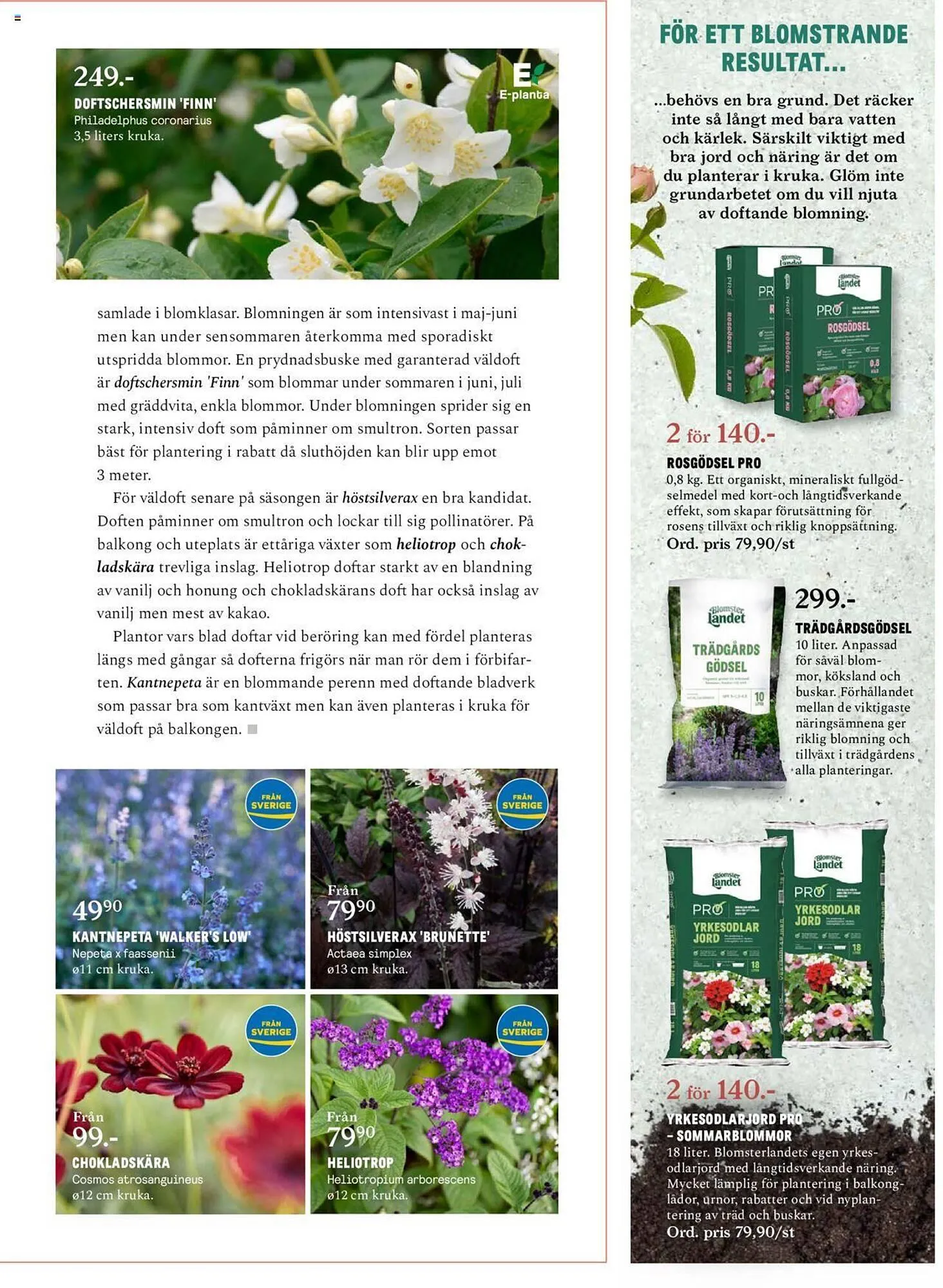 Blomsterlandet reklamblad från 13 maj till 26 maj 2024 - Reklamblad sidor 19