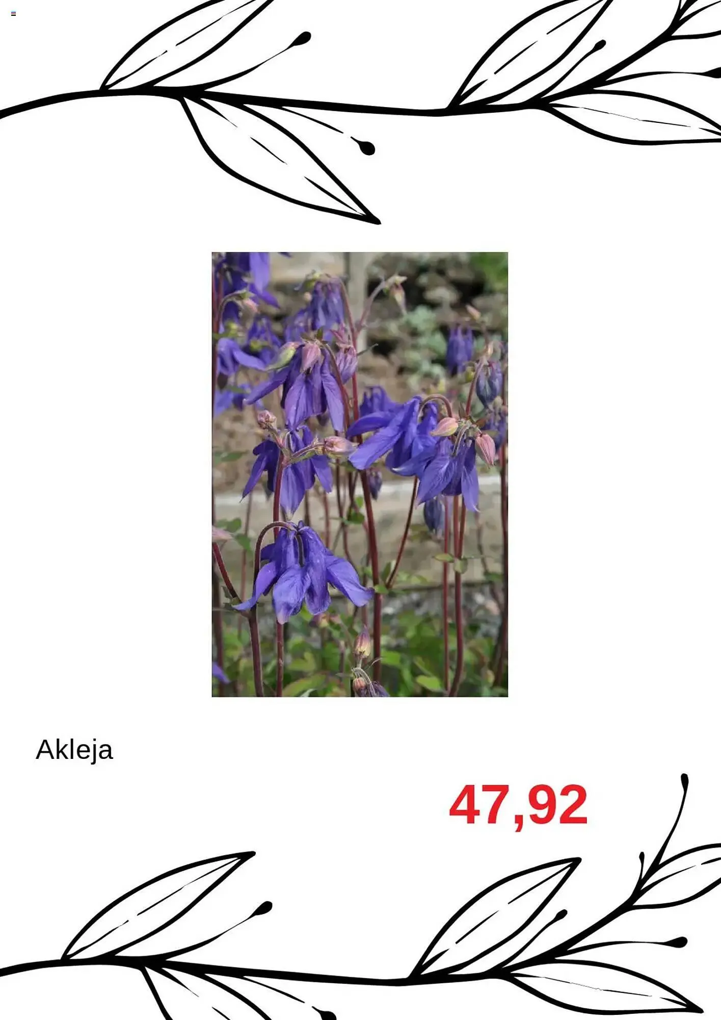 Blomsterlandet reklamblad från 23 juli till 6 augusti 2025 - Reklamblad sidor 3