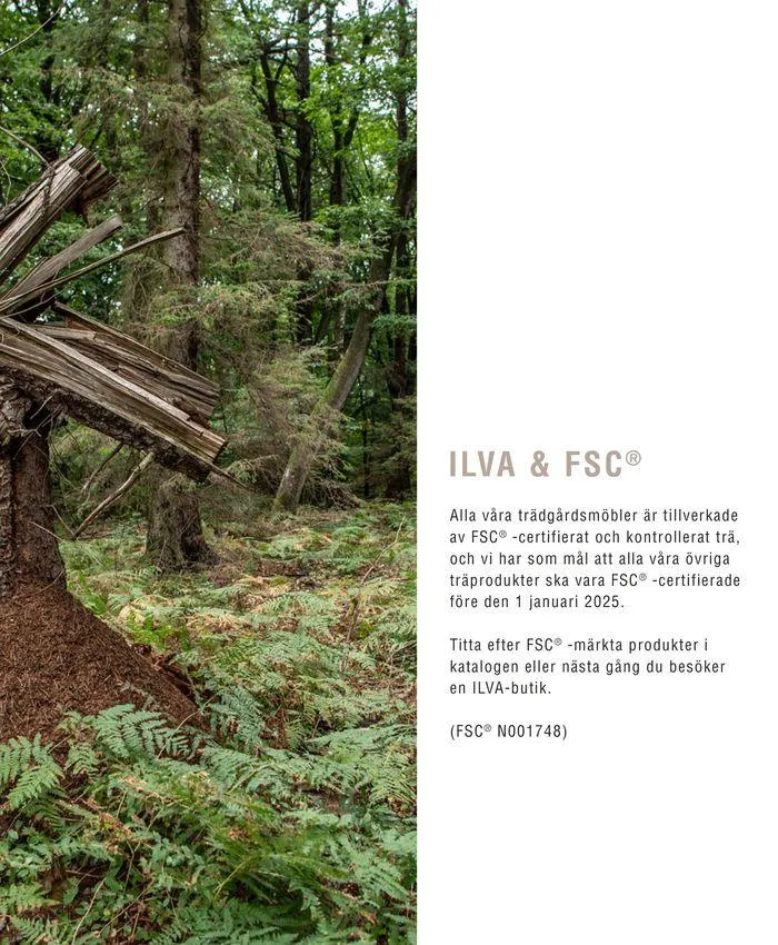 Trädgårdskatalog 2024 från 24 september till 31 december 2024 - Reklamblad sidor 5