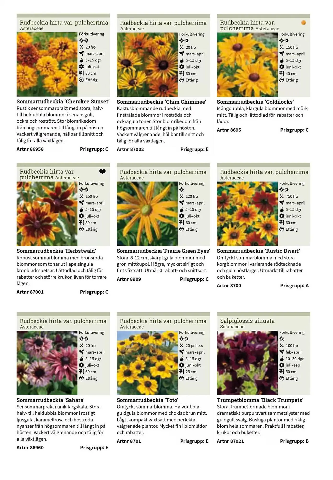 Impecta reklamblad från 23 januari till 31 december 2025 - Reklamblad sidor 182