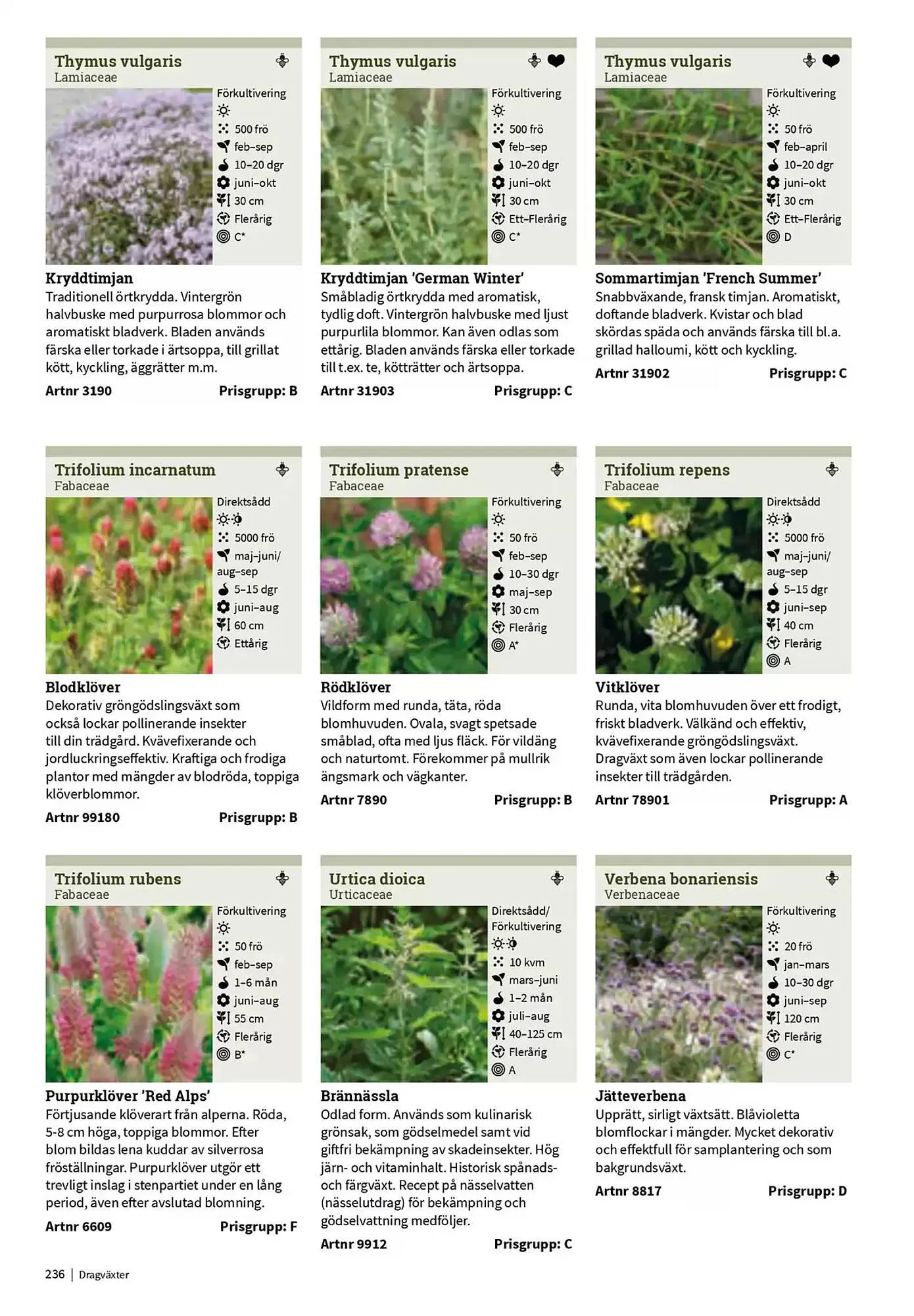 Impecta reklamblad från 23 januari till 31 december 2025 - Reklamblad sidor 236