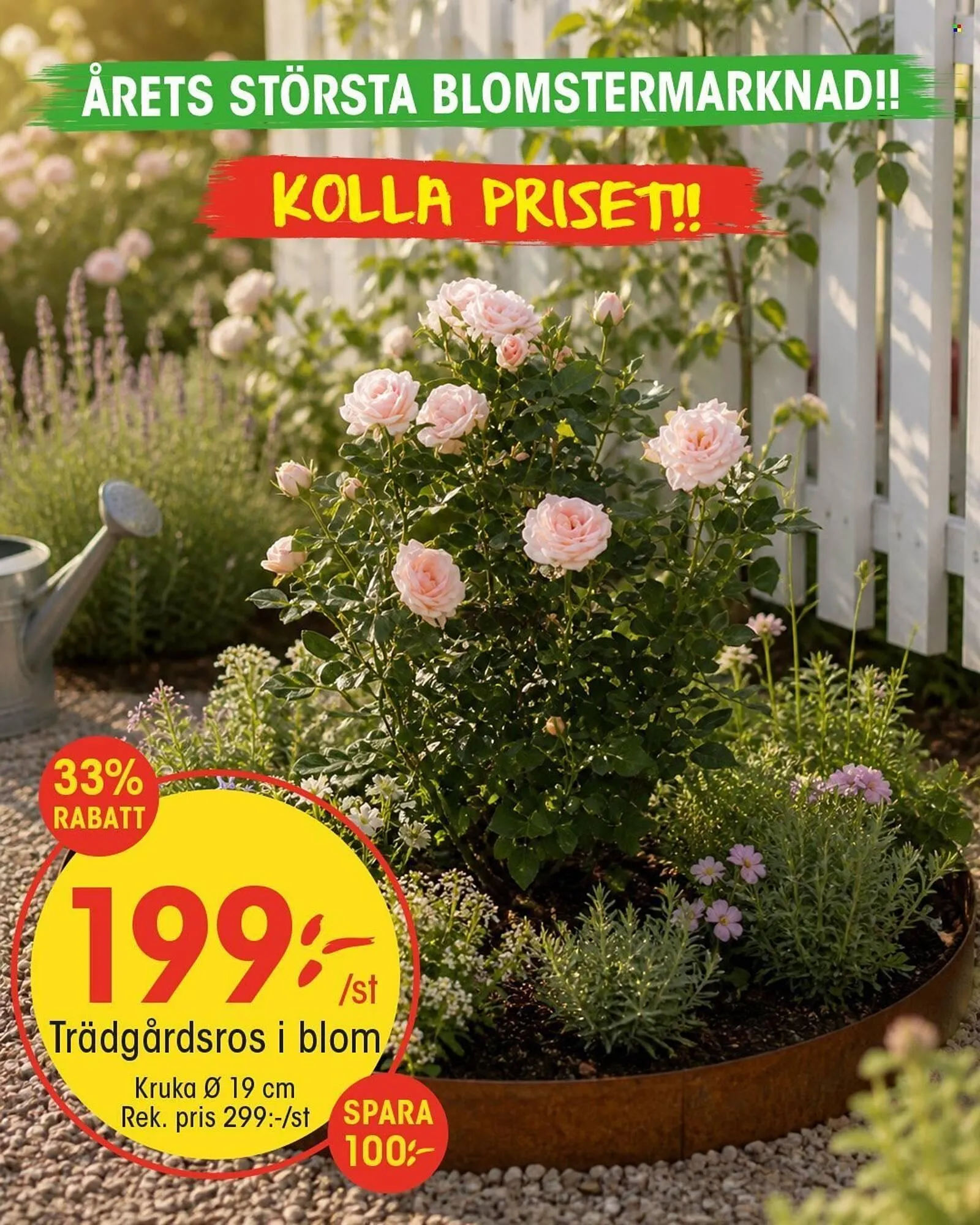 EKO reklamblad från 10 maj till 18 maj 2026 - Reklamblad sidor 8