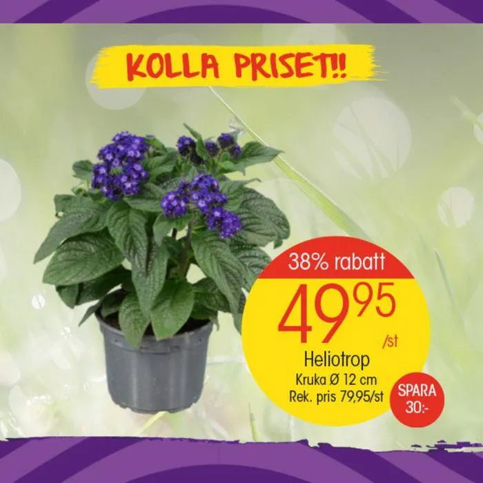 EKO reklamblad från 6 juni till 20 juni 2024 - Reklamblad sidor 7